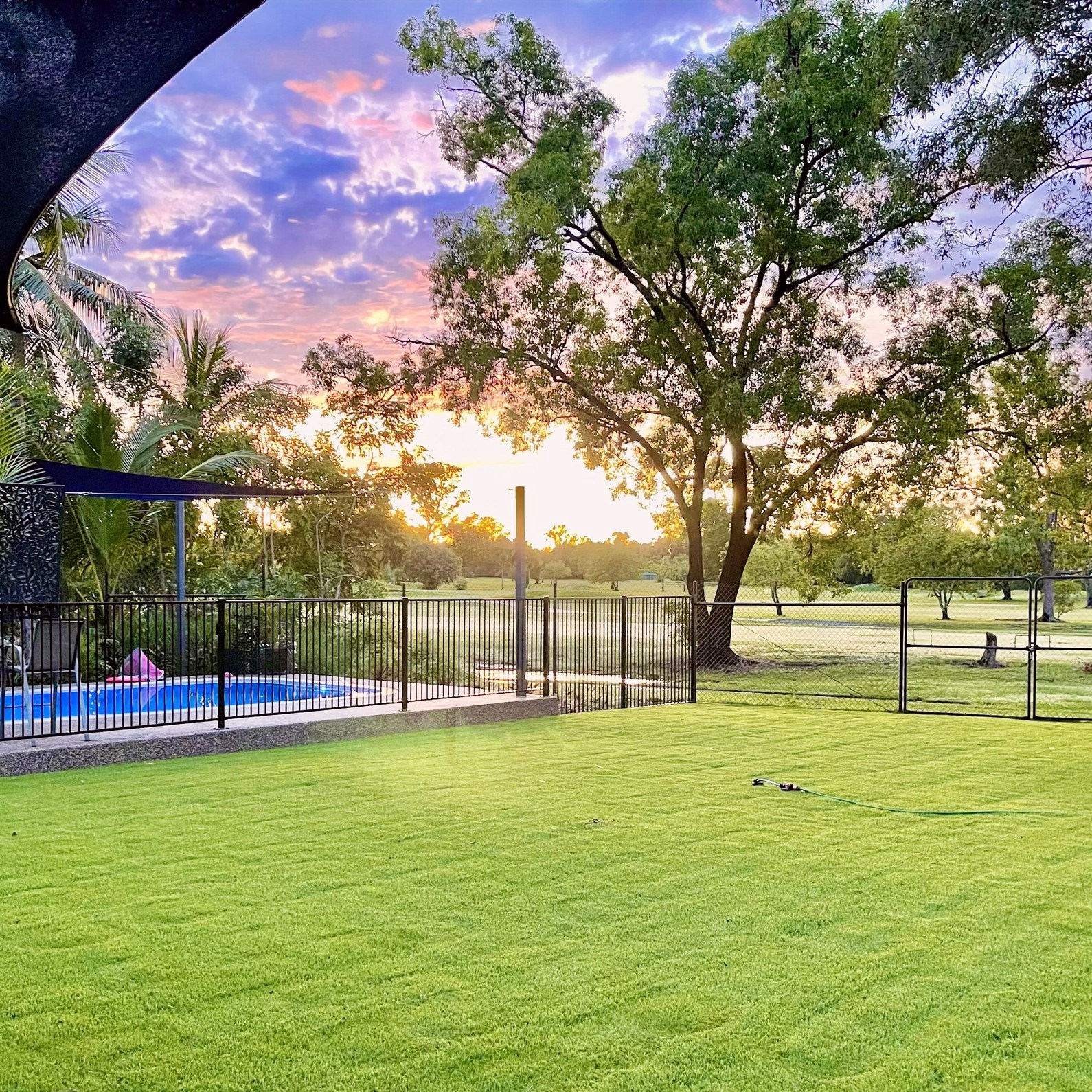 Turf NT—Order Online, The NT Way!
Easy, Fast, Fair Dinkum
Order turf with a click at www.turfnt.com.au—your green dream, NT style. It’s quick, secure, and delivered fast. From red dirt to lush lawn, bring the Top End home.
• Simple online order—just a tap and you’re sorted
• Safe and secure online payment
• Speedy delivery for a beautiful lawn in no time
Don’t wait—transform your patch with Turf NT.