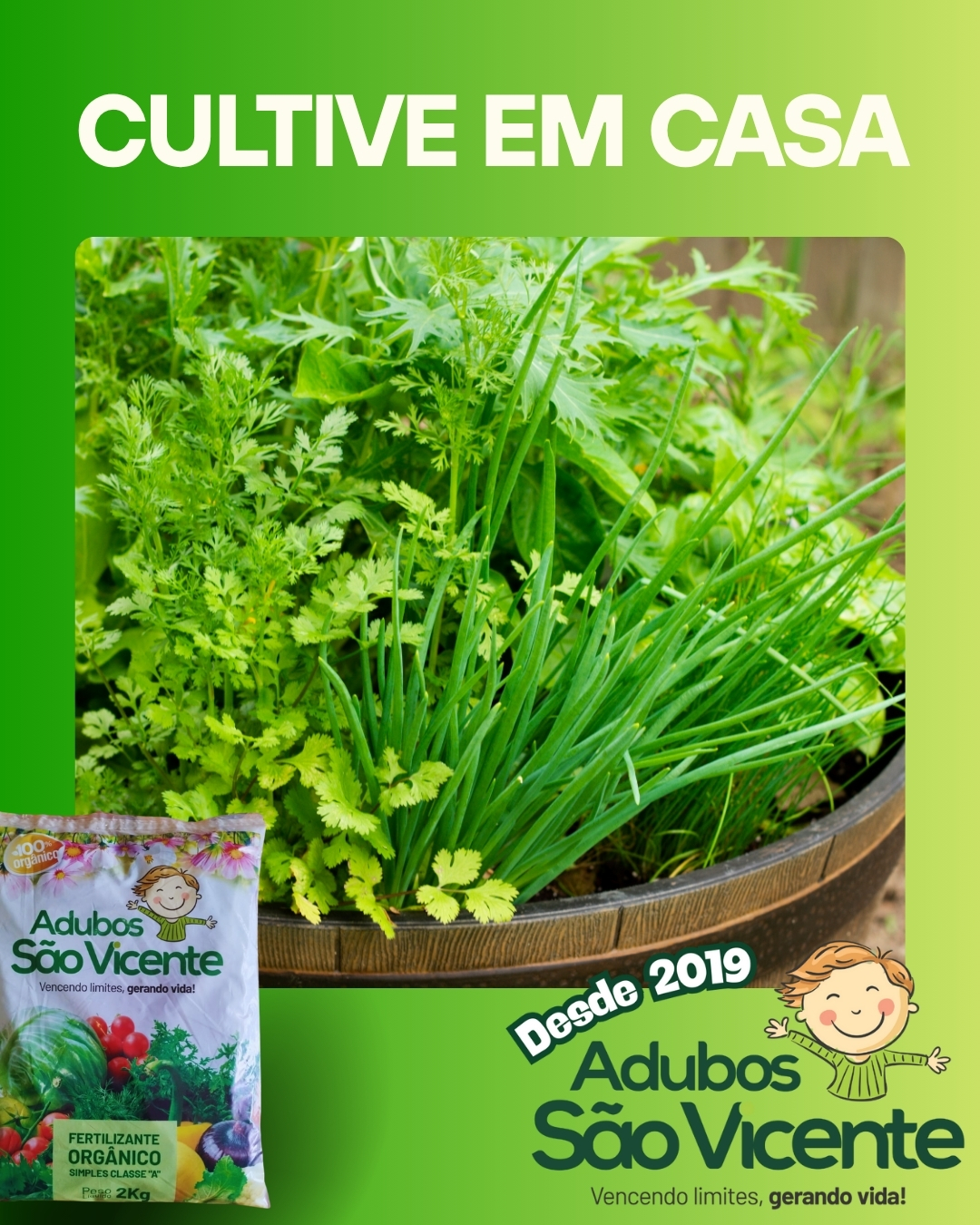 🌱 MONTE SUA HORTA EM CASA! 🌿
Quer ter alface, salsinha e cebolinha fresquinhas direto da sua casa?
Com os produtos 100% orgânicos da Adubos São Vicente, você cultiva com qualidade e colhe com sabor! 🍃
👉 Passo a passo simples pra começar:
1️⃣ Escolha vasos ou jardineiras com boa drenagem.
2️⃣ Utilize nosso Substrato Premium + Adubo 100% Orgânico!
3️⃣ Plante as mudinhas com espaço entre elas.
4️⃣ Regue todos os dias, mantendo o solo úmido (mas sem encharcar).
5️⃣ Deixe em local com boa iluminação natural.
🌞 Em poucas semanas, sua mini horta estará verdinha e pronta pra temperar suas refeições com nutrientes naturais e sabor de verdade!
💚 Adubos São Vicente — Qualidade orgânica, do campo à sua mesa.
#AdubosSãoVicente #HortaEmCasa #100PorCentoOrgânico #VidaSaudável #AduboOrgânico #Sustentabilidade #Alface #Salsinha #Cebolinha