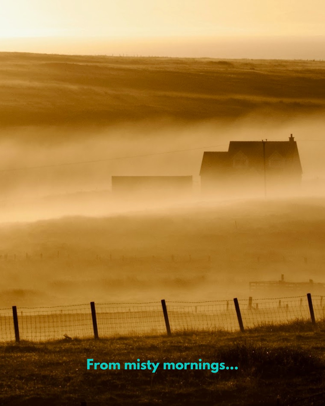 Is it too early.... just over 7 weeks to go until đđ
Looking for a gift for someone who loves North Lewis, or maybe a wee stocking filler for yourself?! The 2026 @urrasog calendar is packed with stunning local photos, from collies in the heather to misty mornings and mighty waves, and makes a perfect gift.
Just ÂŁ10, it is available from the South Galson Business Centre, www.galsontrust.com and local retailers across North Lewis.
Add one to your basket and reward yourself for ticking off a gift from your shopping list! â
#visitnorthlewis #northlewis #isleoflewis #westernisles #outerhebrides #hebrideanisland #hebrides #hebridean #scotland #visitscotland #visitouterhebrides #scottishisland #explorescotland #scottishphotography #islandlife @visitscotland #visitscotland @visitouterhebrides #highlandchristmas #scottishchristmas #christmasgiftideas