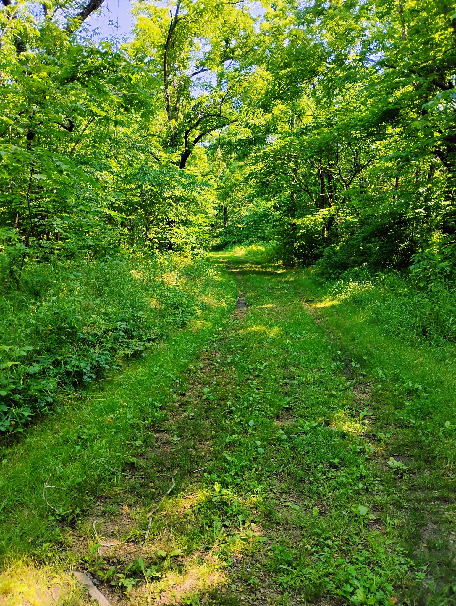 One last look at a Summer hike before Fall get serious!