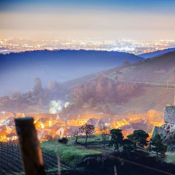 Sauriez-vous deviner quelle ville scintille au loin à l'horizon ? 🌟🏙️ Petit indice : elle se trouve à seulement 7 km de Katzenthal ! Ses lumières créent un spectacle éblouissant que vous ne voudrez pas manquer. ✨👀
#alsace #panorama #oenotourisme #winemaker