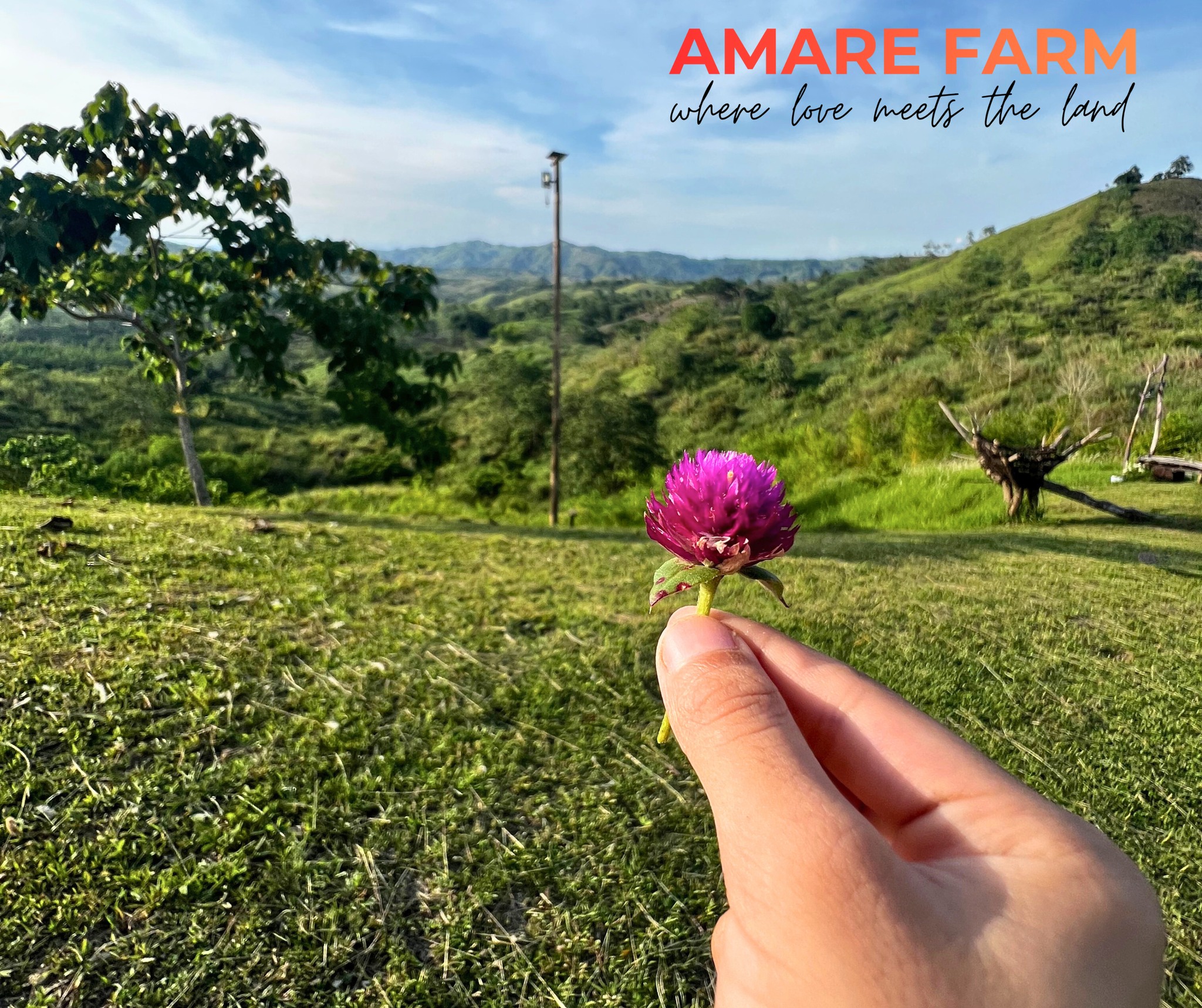 Just me, this flower, and the sound of the wind. π
#AmareFarm #WhereLoveMeetsTheLand