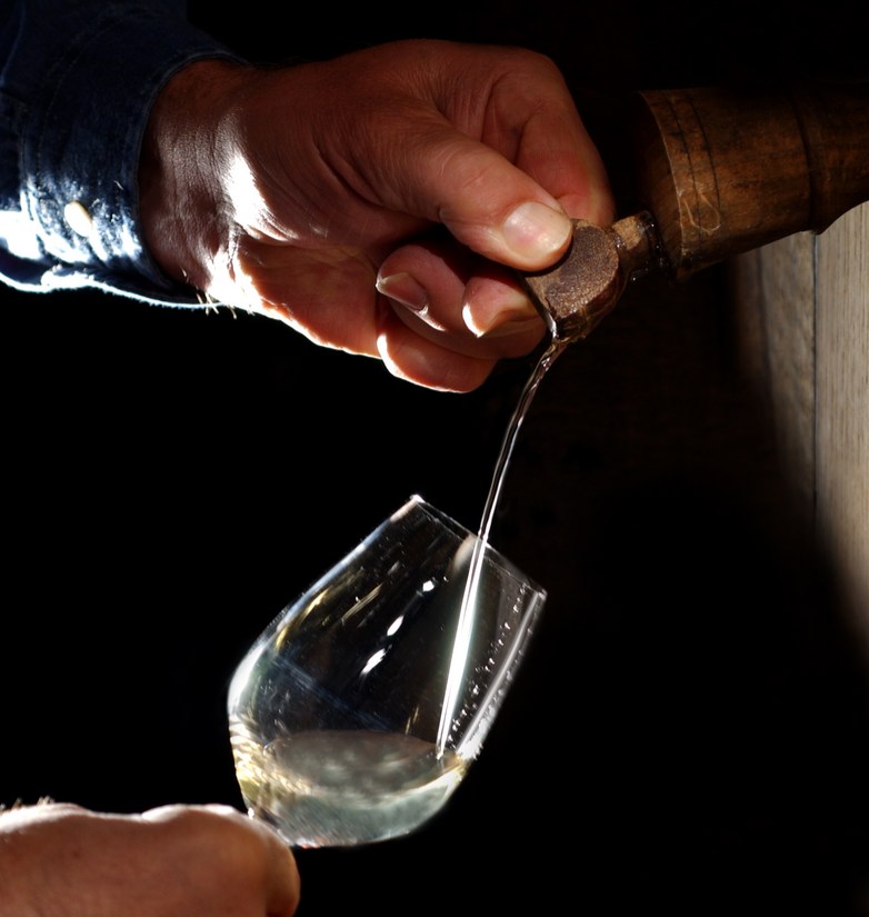 Goûter le vin directement depuis le fût est essentielle dans le processus de vinification. 🍷🔍 Cette dégustation nous permet de suivre l'évolution du vin, d'ajuster ses caractéristiques si nécessaire et de garantir sa qualité avant la mise en bouteille. En dégustant le vin au fût, nous nous assurons qu'il développera toutes ses saveurs et arômes de manière optimale, prêt à être apprécié dans chaque verre. 🌟👃👅 #degustation #vinification #alsace #vinsalsace
© ZVARDON-ConseilVinsAlsace