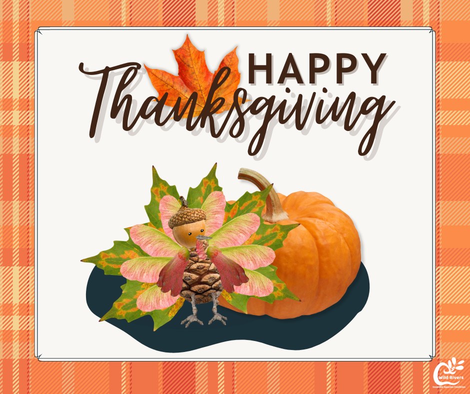 This Thanksgiving, we pause to give thanks, not only for our communities, but for the incredible biodiversity that supports all life. Every plant, animal, and microbe plays a role in the balance of our planet, reminding us that resilience comes from diversity.
We’re grateful for those who care for the Earth and for each other; the farmers, scientists, educators, and everyday people who make a difference. Together, we can honor this season by protecting the web of life that sustains us all. 🌿🦃💚
#thanksgiving #graditude #biodiversity #community