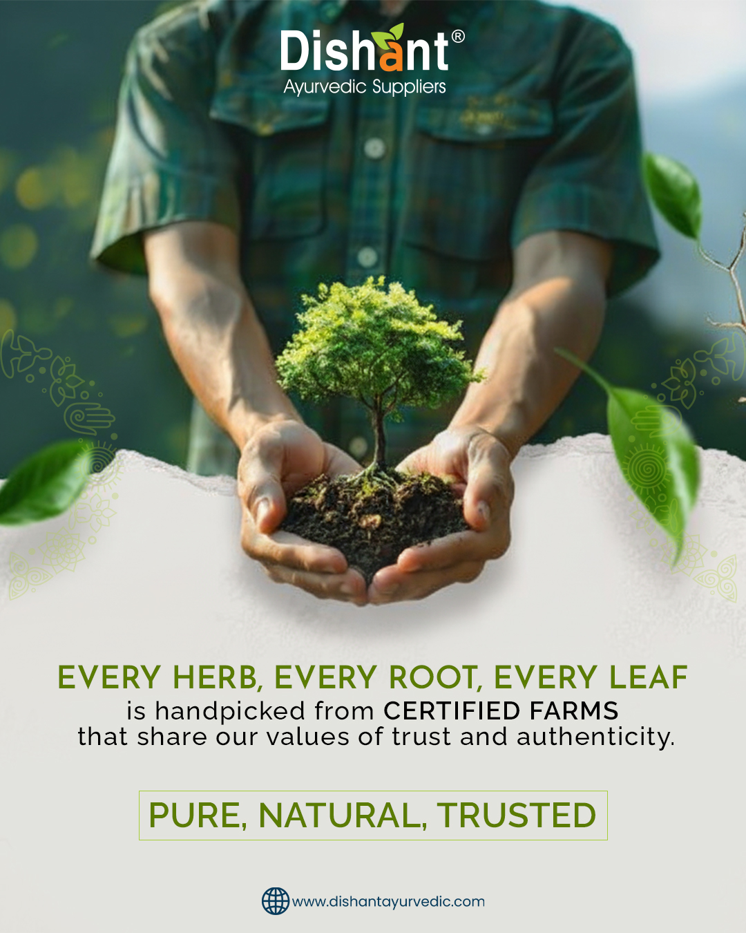 At Dishant Ayurvedic, purity isn’t a promise — it’s a practice.
Every herb, every root, every leaf is handpicked from certified farms that follow the same values we stand for: trust, authenticity, and uncompromised quality.
From soil to shelf, your wellness begins with ingredients that are genuinely pure, naturally potent, and consistently trusted.
Choose Ayurveda crafted with integrity. Choose Dishant Ayurvedic.
Explore now at www.dishantayurvedic.com
Contact us: +91 9428360333
#DishantAyurvedic #HolisticHealingJourney #ayurvedicdoctors #AyurvedicCare #AyurvedicWellness #holistichealth #AhmedabadEvents #NaturalEnergy #ayurvedicmedicine #leafart #ahmedabad #trusttheprocess ##authenticity
