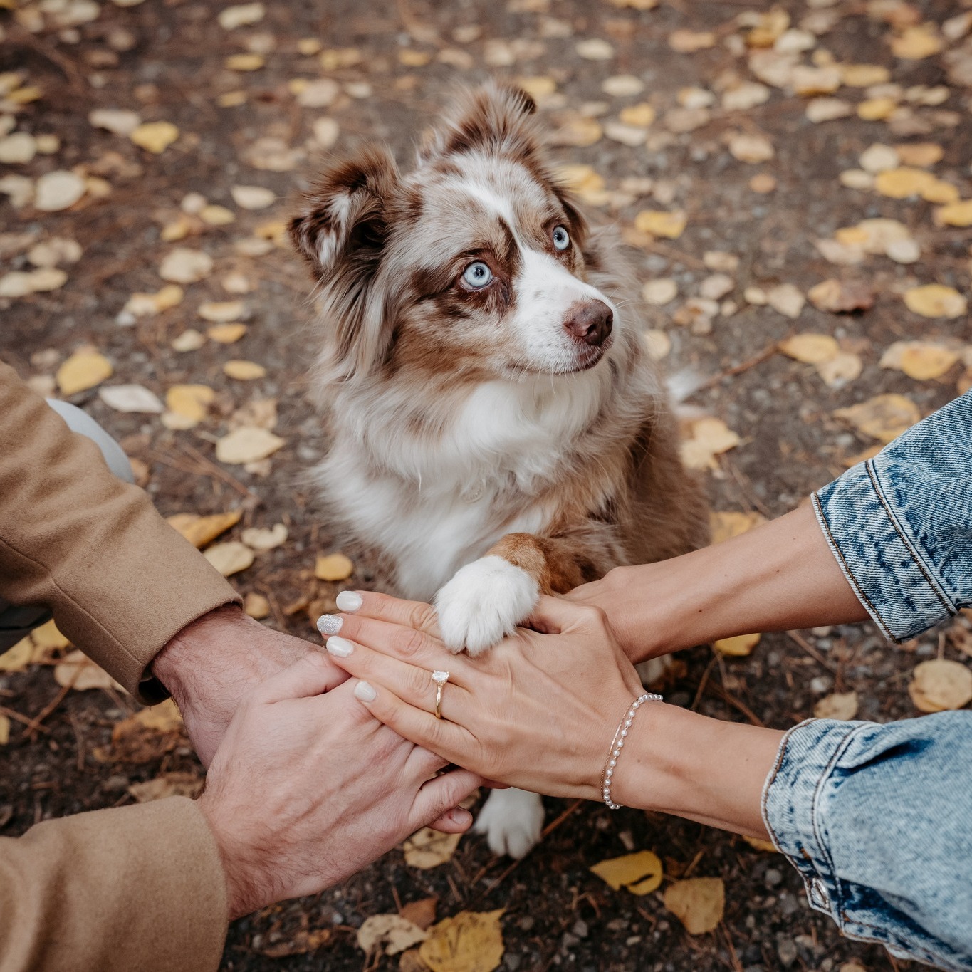 💍
All hail the cutest engagement session third wheel to ever exist. The cutest fur babe! 🦴🐾🤍
#TMCWeddings #EnagagementSession #KelownaEnagagementPhotographer #furbabylove