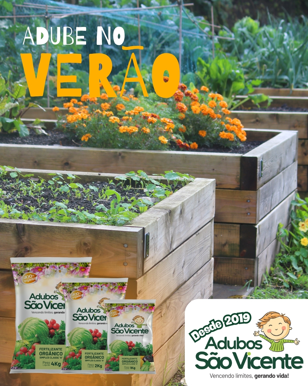 🌞 VERÃO CHEGOU! E SUAS PLANTAS SENTEM A DIFERENÇA! 🌱
Com o calor mais intenso, o solo seca mais rápido e os nutrientes se perdem com facilidade. Por isso, o verão é a melhor época para reforçar a adubação e garantir plantas fortes, verdes e produtivas.
💚 Adubos São Vicente traz a solução ideal para quem quer resultados:
✔️ Liberação equilibrada de nutrientes
✔️ Maior retenção de umidade
✔️ Estímulo ao enraizamento e crescimento saudável
✔️ Ótimo desempenho em plantas de vaso, hortas e jardins
🌿 Dica de ouro: Aplique nosso fertilizante orgânico no início da manhã ou fim da tarde para potencializar a absorção.
📦 Peça agora e prepare suas plantas para o melhor verão de todos!
Adubos São Vicente – Nutrição que transforma! 🌱✨