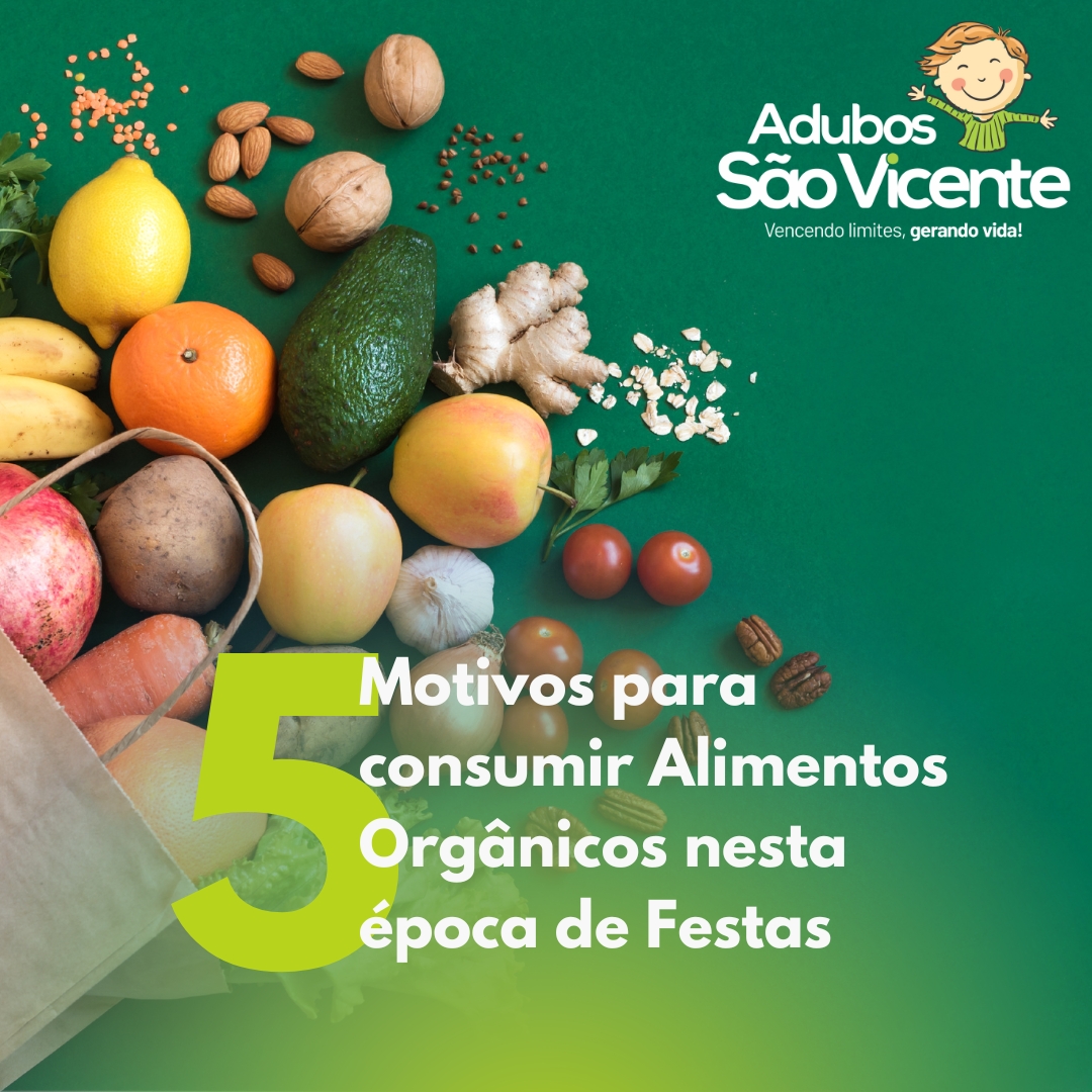 🎄 5 Motivos para Consumir Alimentos Orgânicos Nesta Época de Festas 🌱
Com a correria do fim de ano, nada melhor do que cuidar da saúde e preparar ceias ainda mais saborosas e naturais. Confira por que escolher alimentos orgânicos faz toda diferença:
1️⃣ Mais sabor e frescor
Cultivados sem agrotóxicos, os alimentos orgânicos preservam seu sabor original — perfeito para pratos especiais de final de ano!
2️⃣ Mais nutrientes no seu prato
Solos bem cuidados e adubação natural garantem alimentos mais nutritivos, fortalecendo seu corpo em meio à rotina intensa das festas.
3️⃣ Zero resíduos químicos
Menos agrotóxicos significa refeições mais seguras para toda a família, especialmente crianças e idosos.
4️⃣ Sustentabilidade na prática
Ao escolher orgânicos, você apoia agricultores que respeitam o meio ambiente e cuidam do solo — um valor que a Adubos São Vicente leva muito a sério.
5️⃣ Valorização dos pequenos produtores
Consumir local e orgânico fortalece a agricultura familiar e garante alimentos mais frescos à sua mesa.
🎉 Neste fim de ano, celebre com mais saúde, sabor e consciência!
🌿 Adubos São Vicente — cultivando qualidade o ano inteiro.