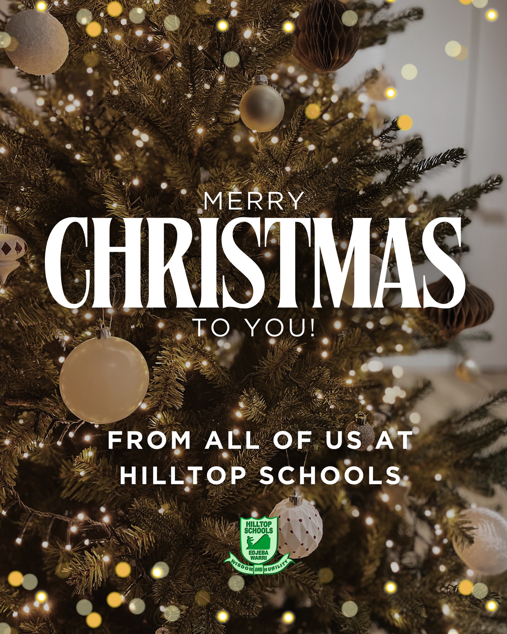 Merry Christmas to you and yours from all of us at Hilltop Schools! ๐๐
#hilltopschoolsedjeba #warrideltastate #primaryandsecondaryeducation #community #education #Christmas2025 #merrychristmas
