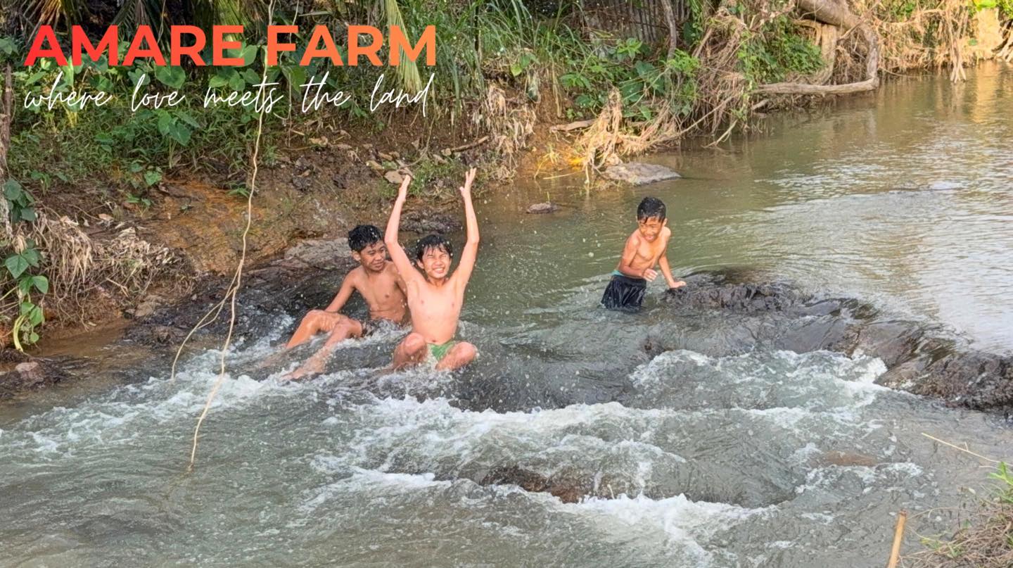 This is how childhood should feel. π¦π±
No gadgets, no rushβjust nature, laughter, and time well spent at Amare Farm.
#AmareFarm #SimpleLiving #FarmKids #NatureIsTheBestPlayground #ProvinceLife #PureJoy
#wherelovemeetstheland