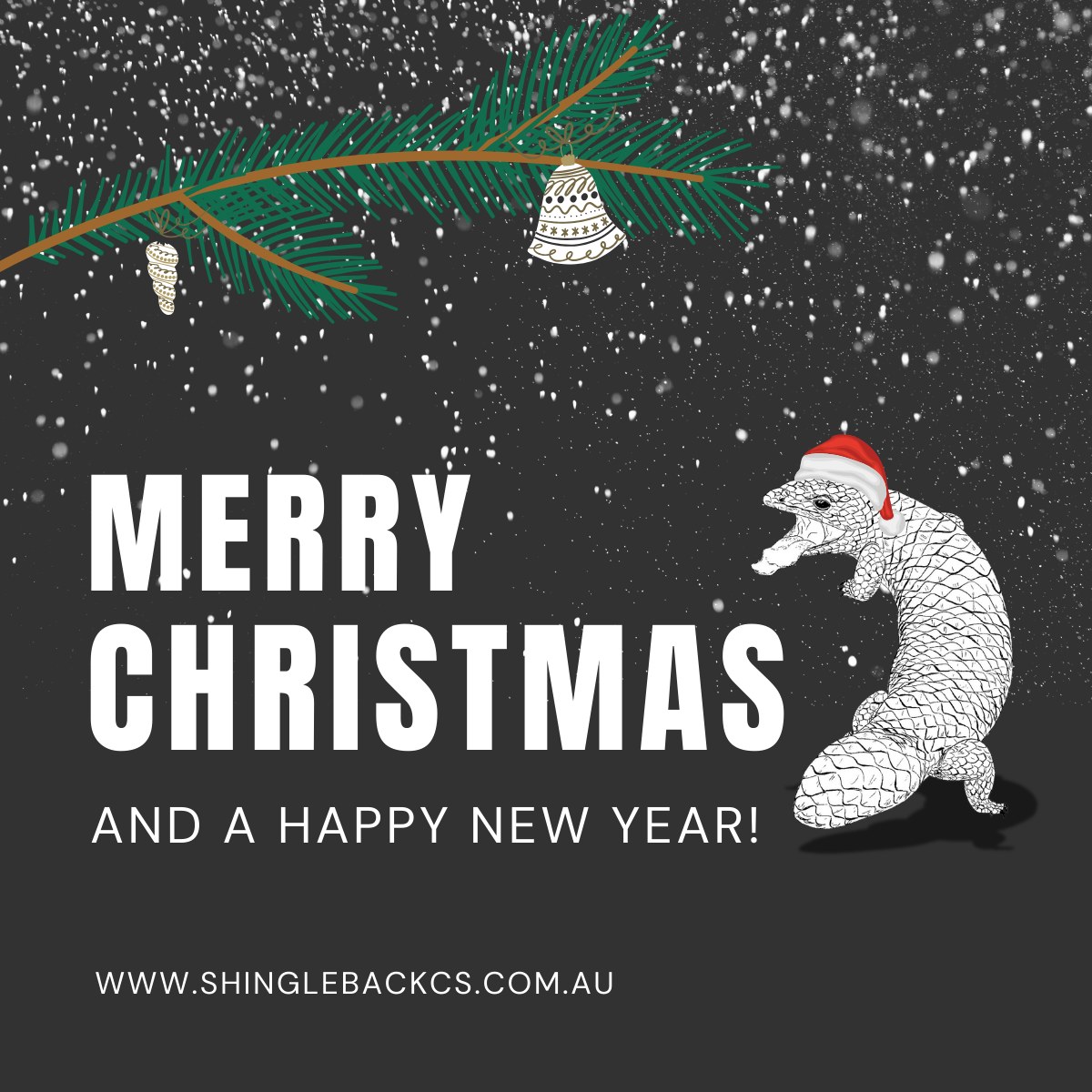 Itβs that time of year! π
β¨
Shingleback Coating Systems will be taking a Christmas & New Year break. Our last working day will be December 19th, and we will return on January 5th.
Wishing all our valued customers a relaxing, safe, and joyful holiday season!
#ShinglebackCoatingSystems #HolidayBreak #Christmas2025 #NewYear2026 #SeasonGreetings #HappyHolidays #FestiveSeason