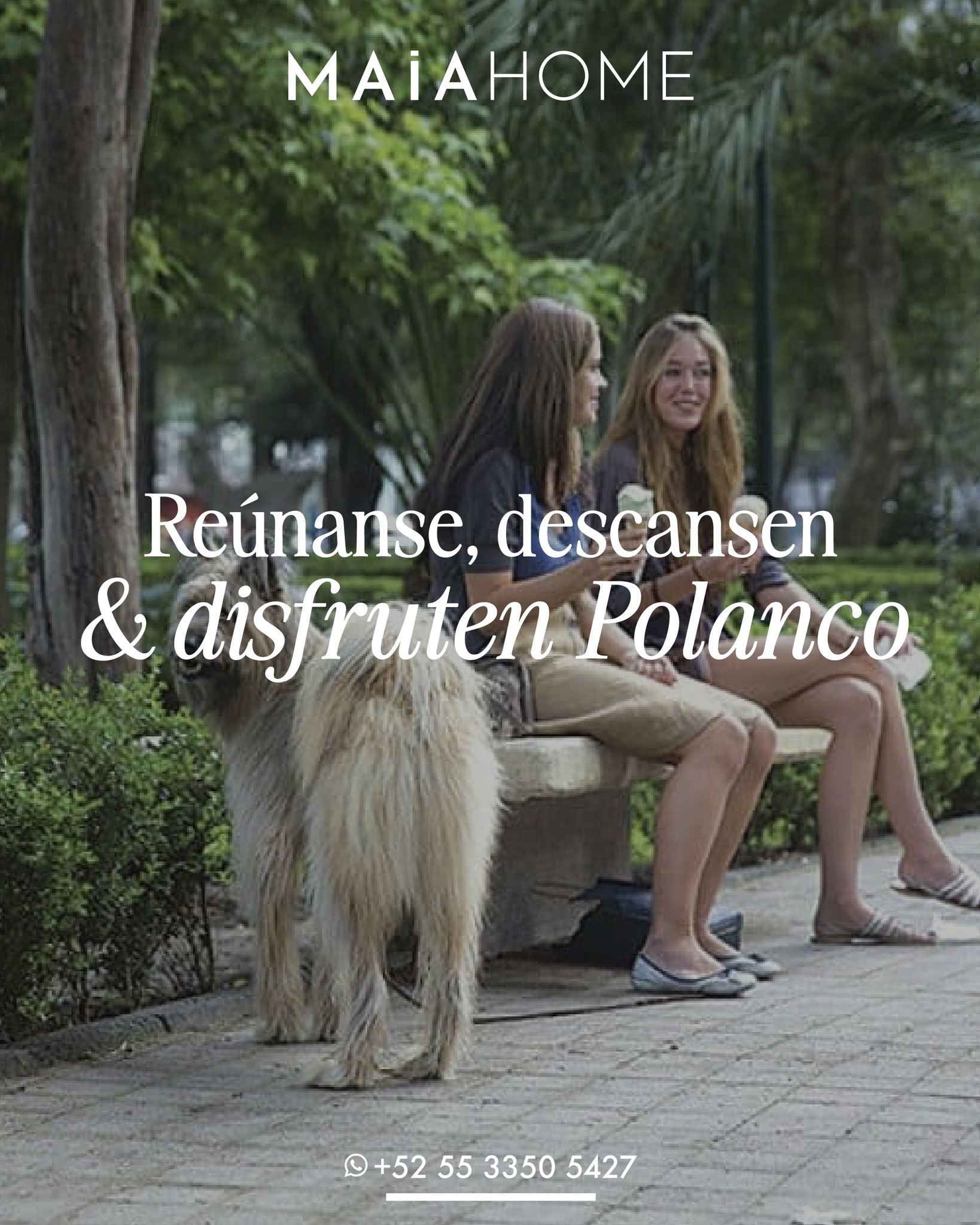 💯De trabajo o vacaciones, tu descanso importa. Hospédate en un espacio diseñado para viajeros exigentes.
💫Nuestros depas lo tienen todo.
🔸Departamentos Amueblados
🔸Accesos sin llaves
🔸Wifi alta velocidad
🔸Kit de Bienvenida
🔸Recorrido virtual
💻Reserva tu alojamiento en nuestra página web.
https://www.maiahome.mx
💯Airbnb / Vrbo / Booking.com / Tripadvisor
#Maia #MaiaHome #CorporateHousing #VacacionalRental #Polanco #deluxeapartments #Springtime #Apartments #Departamentos #Airbnb #Vrbo #Booking #Tripadvisor