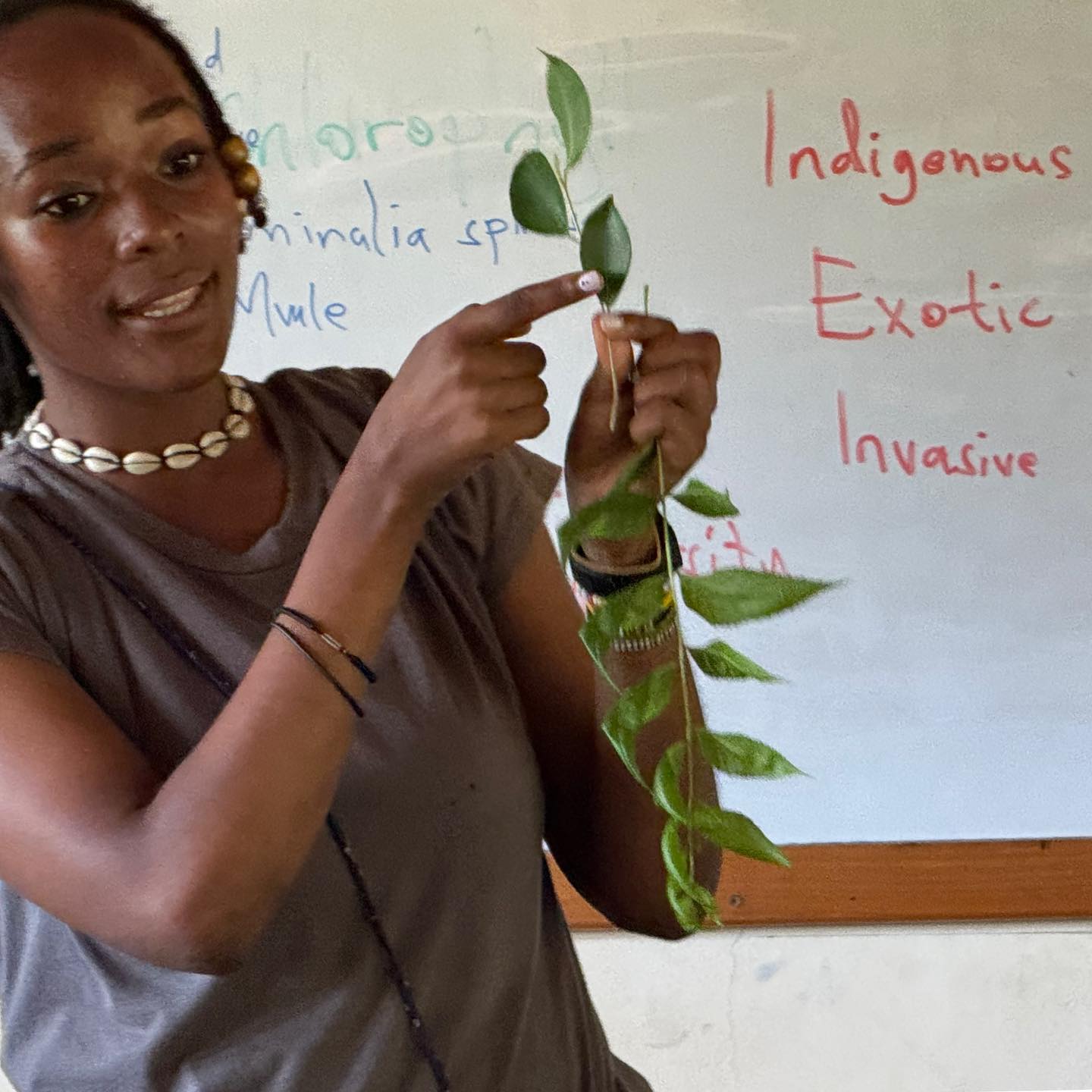 Fantastic to hear our Year 4 students explore qualities of some of their neighboring trees today, let alone see them place their new IDs at their feet, around the leafy campus.
Bravo super-heroes and Ms Joan for the great work! 🌱💫✨
#healthyplanethealthypeople #internationalschoolskenya #wangarimaathai #gratitude #wherechildrentreadlightly #ecoschools #realeducationmatters #ourfutureleaders #wherechildrenlovetolearn #outdoors