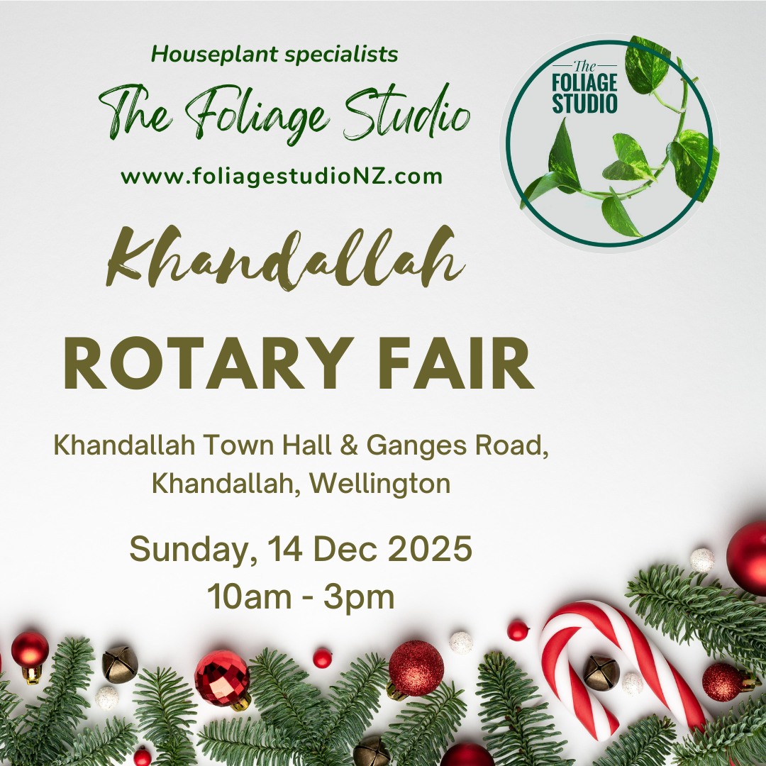 Join us at Khandallah’s iconic Christmas fair - the Rotary Khandallah Fair - on Sunday 14 December 2025! 🎄✨
Come find us in the Town Hall! We’ll be there with a fresh range of lush plant gifts perfect for the season. The fair brings together talented local makers, delicious food stalls, entertainment, and handcrafted treasures — something for everyone on your Christmas list 🌿💚
🌿 WHEN: Sunday, 14 December 2025
🌿 TIME: 10am – 3pm
🌿 WHERE: Ganges Road & Khandallah Town Hall, Wellington
🌿 EVENT: facebook.com/events/774337312334120
Come along, support local, and soak up the Christmas vibes ✨
#foliagestudionz #nzplantshop #christmasmarket #craftmarket #plantmarket #wellington #nzplants #khandallah #rotarykhandallahfair