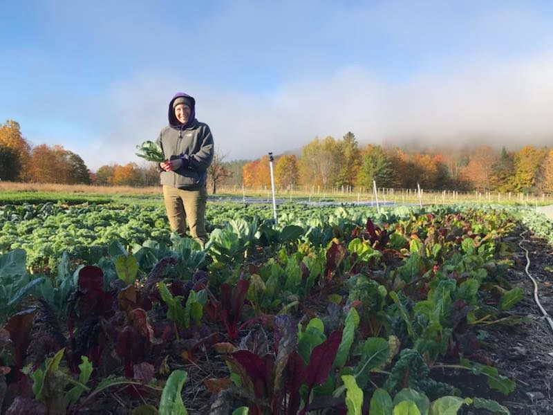 Hello, Ananda Gardens followers! I wanted to say hi and let you know that I will be doing some of the posting on our social media pages going forward! My name is Lisa and I have been a member of the Ananda Gardens crew for the last couple years. I love growing vegetables for all of you, and I can’t wait to show you some of what we get up to even when it’s cold and snowy.