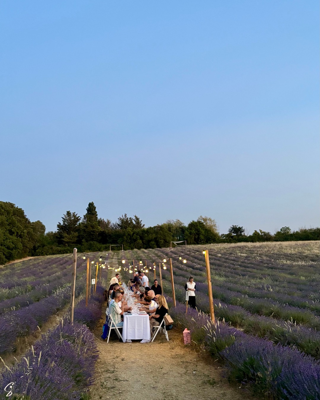 Retour sur ce magnifique dîner chez @terreugo avec @gueuleton.
Une soirée hors du temps au milieu de champs de lavande provençale.