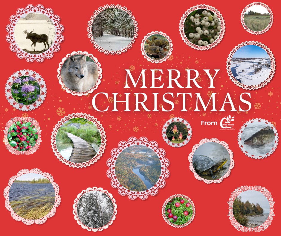 Merry Christmas and Happy Holidays!