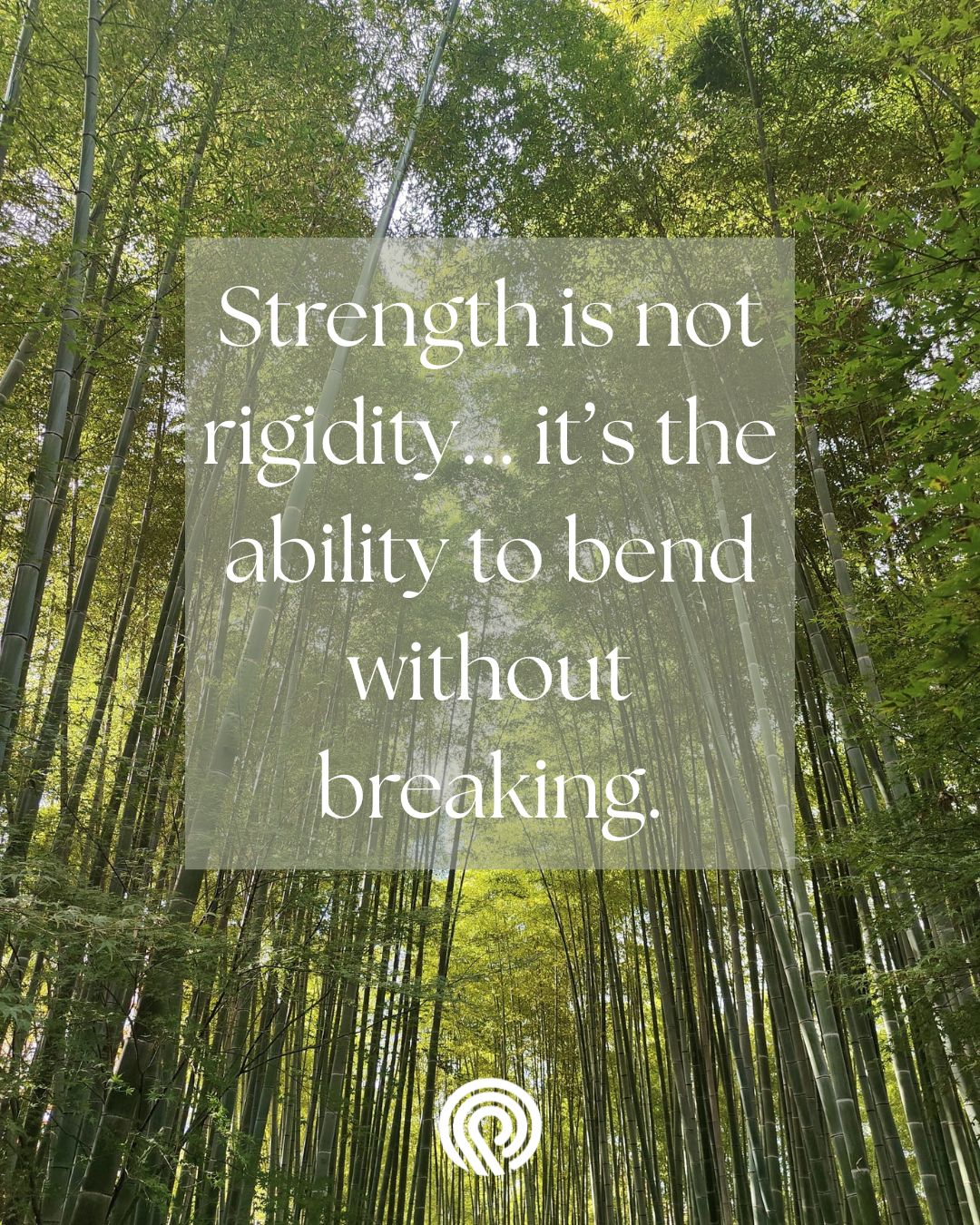 Bamboo rises tall, yet it sways with every change in the wind. It stands firm not because it resists, but because it adapts.
And in leadership, the same is true.
December often brings pressure, decisions, deadlines, and the quiet weight of everything weโve carried throughout the year. Itโs easy to equate strength with enduranceโฆ but real strength is resilience - the capacity to stay rooted while adjusting, to stay open while navigating stress, and to return to centre even when stretched.
If youโre curious about your own resilience as a leader, our tools can help you measure your current strengths - and our training can help you develop them intentionally.
As the year winds down, may you find space to bend, breathe, and reset. ๐ฟ
๐ www.thechangeagent.eu
๐ฉ info@thechangeagent.eu
๐ธ : Dr Elaine Dutton
#TheChangeAgent #Leadership #LeadershipDevelopment #Leadership360