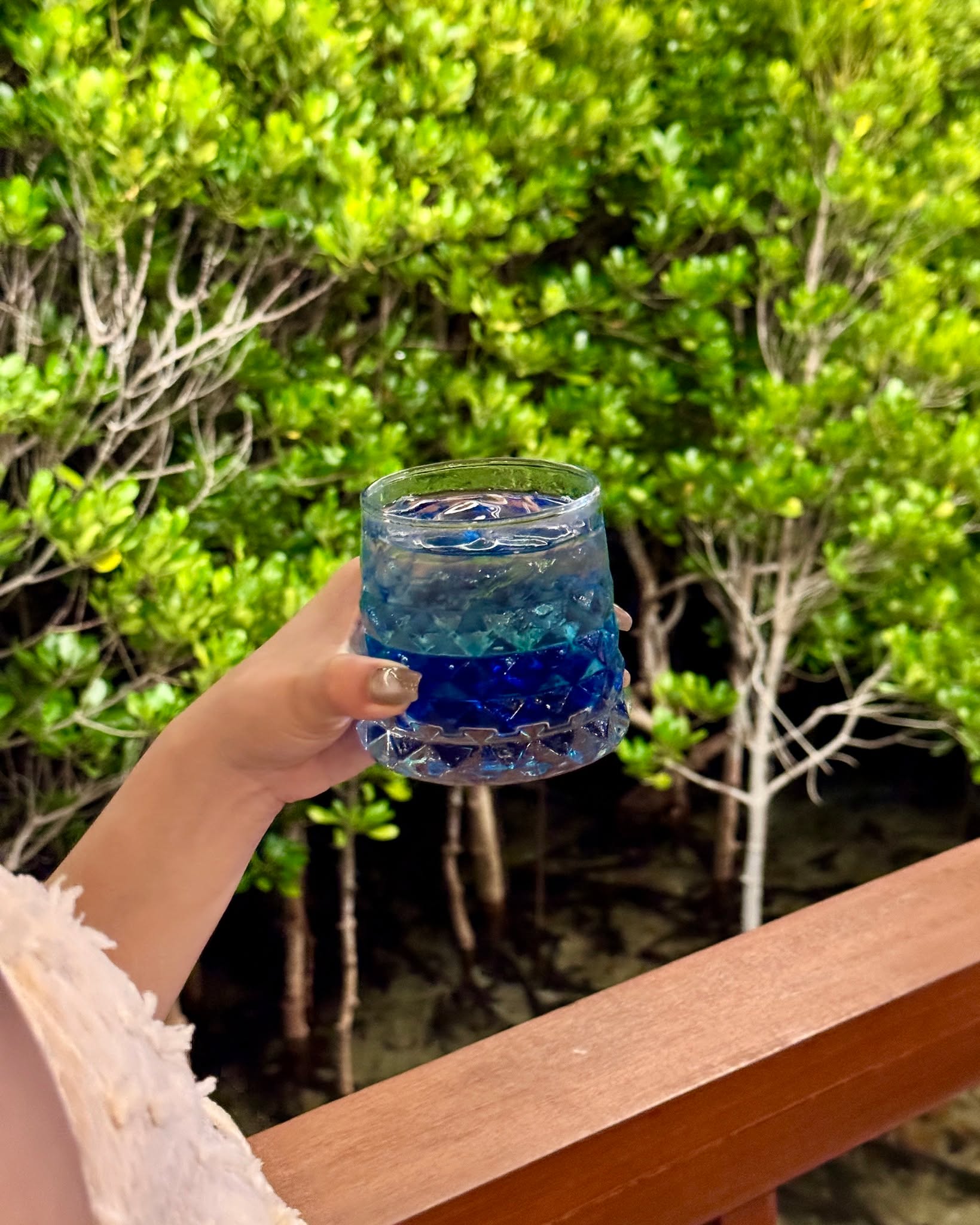 Honoring a legacy that continues to inspire. Rizal, our blue pea gin cocktail at Mangrove, marks this day with depth, color, and meaning.
sunlighthotelsandresorts.com/setir
#DoseOfSunlight #RizalDay