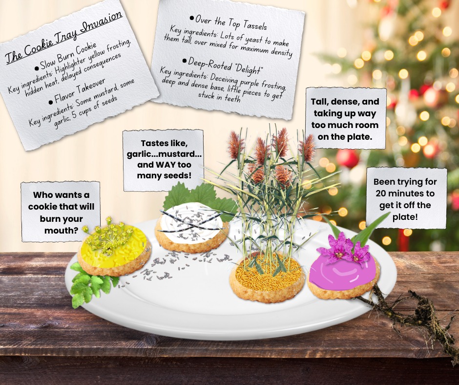 Who doesn't love a good Christmas cookie? But these ones don't sound too appetizing!
🍪Slow Burn Cookie: This yellow frosted cookie is inspired by Wild Parsnip. Looks pretty and harmless, but one bite and you'll regret it later once you feel that burn!
🍪Flavor Takeover: Super seedy, and savory, this cookie is inspired by Garlic Mustard. All these seeds, you're bound to see more of these cookies taking over soon!
🍪Over-the-Top Tassle: Where do you even start with these cookies? They're so tall and dense, sounds like Phragmites!
🍪Deep Rooted "Delight": So pretty! They must taste good… right? If only you could get it off the plate. After 20 minutes of pulling, it still won’t budge, and if you do get it off the plate, make sure to leave no crumbs, or it will be right back where it started! Just like purple loosestrife.
#cookies #christmas2025 #invasivespecies #bakedgoods