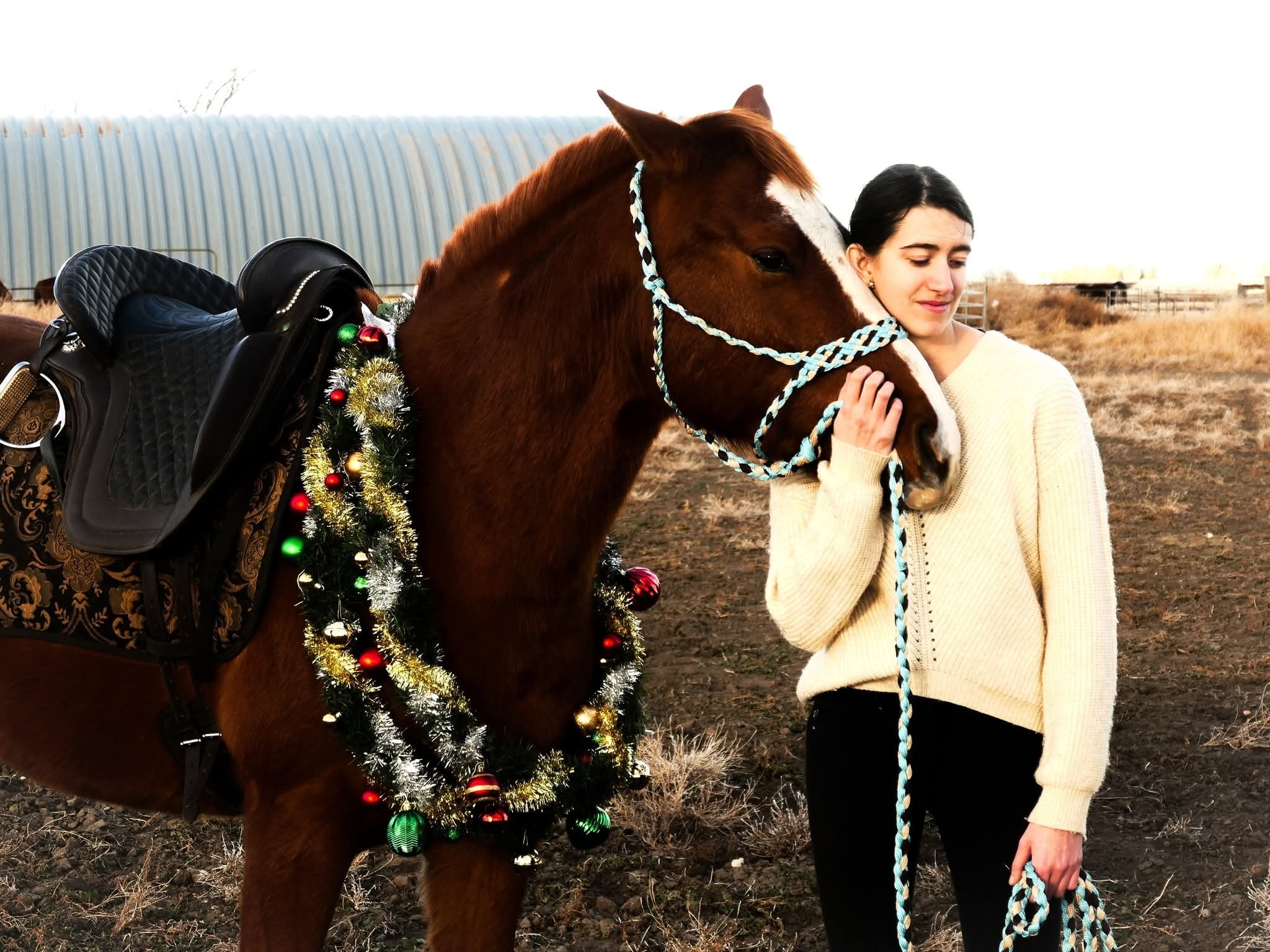 The fourth Neigh of Christmas comes from our southern members based at Little Orchard Equine. Goose, Calligraphy and Seamus as well as their humans, Olivia, Marko and Brittany focus on Horse HEMA
#STALC #jousting #horses #littleorchardequine #HorseHEMA #12NeighsofChristmas