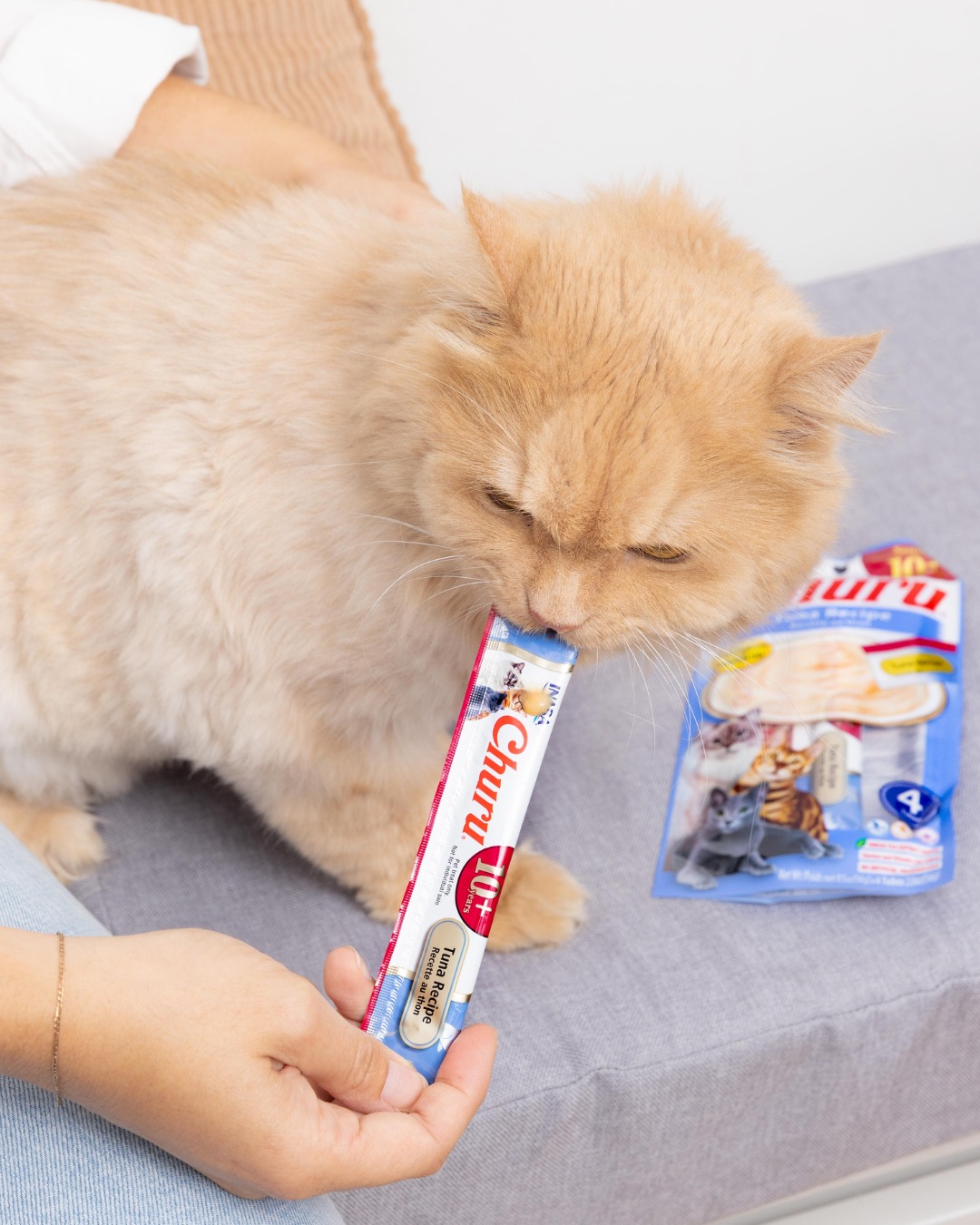 Creamy treat = instant obsession 😋🐾
When it’s Churu, even the fussiest cats can’t resist.
Perfect for bonding, rewarding, or just because 💛
👉 Treat your cat to Churu today.
#Churu #InabaChuru #CatTreats #FussyCatApproved