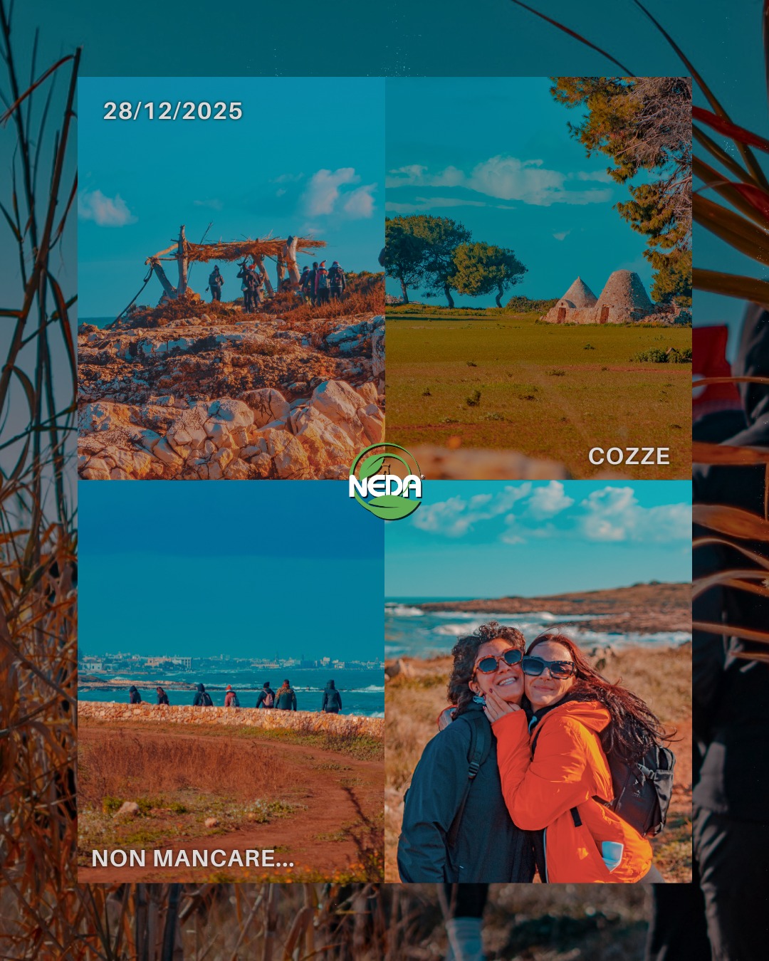 🌿 𝐒𝐢𝐚𝐦𝐨 𝐩𝐫𝐨𝐧𝐭𝐢 𝐩𝐞𝐫 𝐥'𝐮𝐥𝐭𝐢𝐦𝐚 𝐚𝐯𝐯𝐞𝐧𝐭𝐮𝐫𝐚…𝐝𝐢 𝐪𝐮𝐞𝐬𝐭'𝐚𝐧𝐧𝐨
Un percorso costiero sospeso tra mare e roccia, dove il blu dell’Adriatico accompagna ogni passo e il paesaggio racconta la storia e il valore ambientale di uno dei tratti più affascinanti del nostro territorio.
Una camminata facile e panoramica, ideale per rallentare, respirare a pieni polmoni e salutare l’anno che si chiude immersi nella natura. 🌊✨
𝑼𝒏’𝒆𝒔𝒑𝒆𝒓𝒊𝒆𝒏𝒛𝒂 𝒅𝒂 𝒗𝒊𝒗𝒆𝒓𝒆 𝒊𝒏𝒔𝒊𝒆𝒎𝒆, 𝒑𝒂𝒔𝒔𝒐 𝒅𝒐𝒑𝒐 𝒑𝒂𝒔𝒔𝒐, 𝒑𝒆𝒓 𝒄𝒐𝒏𝒅𝒊𝒗𝒊𝒅𝒆𝒓𝒆 𝒔𝒐𝒓𝒓𝒊𝒔𝒊, 𝒑𝒂𝒏𝒐𝒓𝒂𝒎𝒊 𝒆 𝒍𝒂 𝒃𝒆𝒍𝒍𝒆𝒛𝒛𝒂 𝒂𝒖𝒕𝒆𝒏𝒕𝒊𝒄𝒂 𝒅𝒆𝒍𝒍𝒂 𝒄𝒐𝒔𝒕𝒂 𝒑𝒖𝒈𝒍𝒊𝒆𝒔𝒆.
.
.
.
⚠️ ATTENZIONE!
L’esperienza si svolge in ambiente naturale: potrebbe non essere garantita la presenza di servizi igienici o strutture di supporto.
Il percorso può includere piccole salite e discese (salvo diversa indicazione degli organizzatori). Assicurati che questa esperienza sia adatta a te!
➡️ È richiesto abbigliamento comodo, sportivo o tecnico.
#puglia #italy #italia #cozze #polignanoamare #polignanomare #polignano #pugliaview #trekkingpuglia #escursionismo #outdooritalia #explorepuglia #pugliaescursioni #discoveritaly #visitpuglia #naturelovers #hikingadventures #adventureitaly #igerspuglia #experiencepuglia #travelitaly #natura #italianhiking #hikingitaly #italianplaces #landscapephotography #travelphotography #instanature #CamminareInNatura