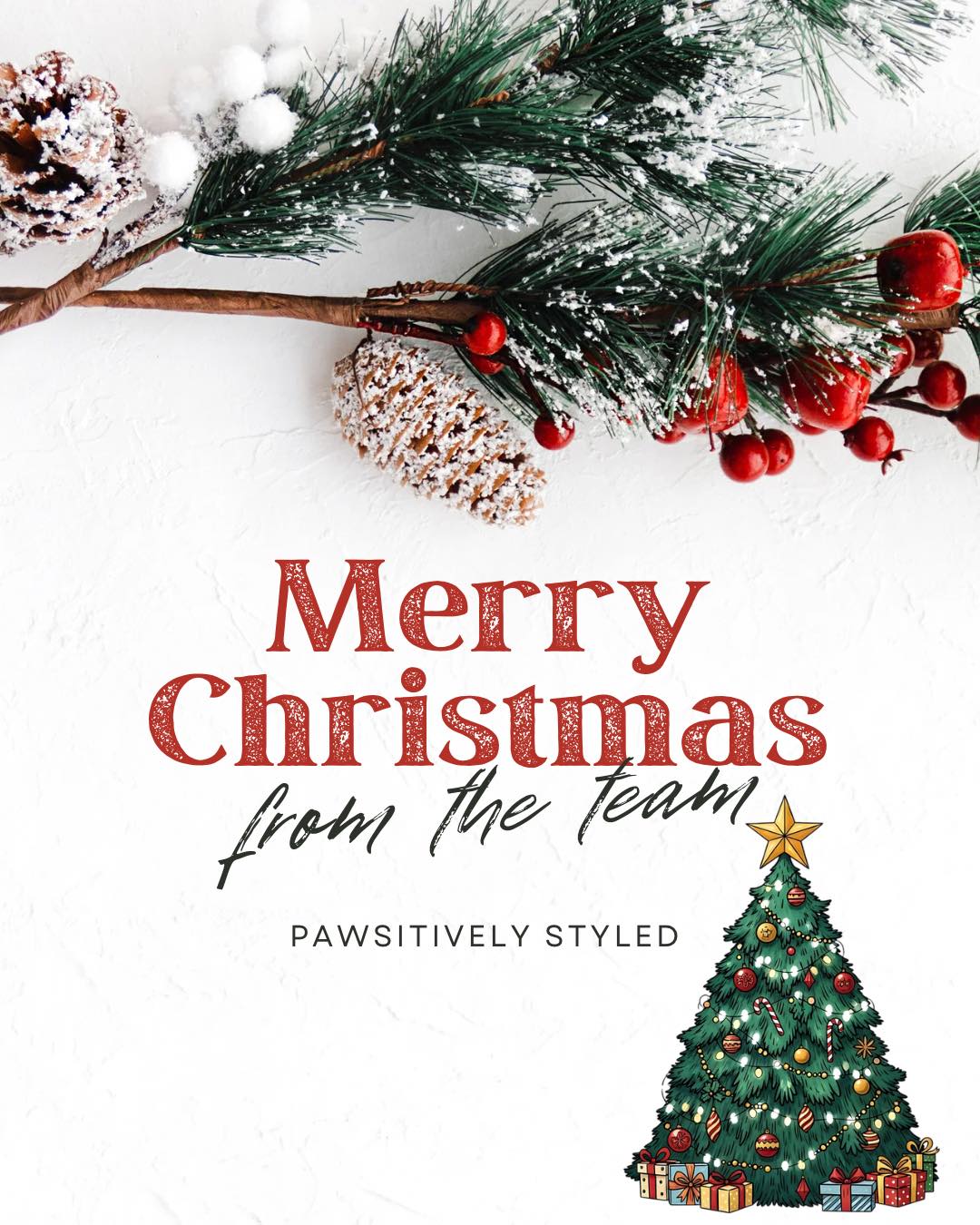 We hope everyone has a wonderful holiday with their loved ones, and we would like to thank everyone for all of their generous gifts during this holiday season 😊🐾🎄
The Pawsitively Styled team