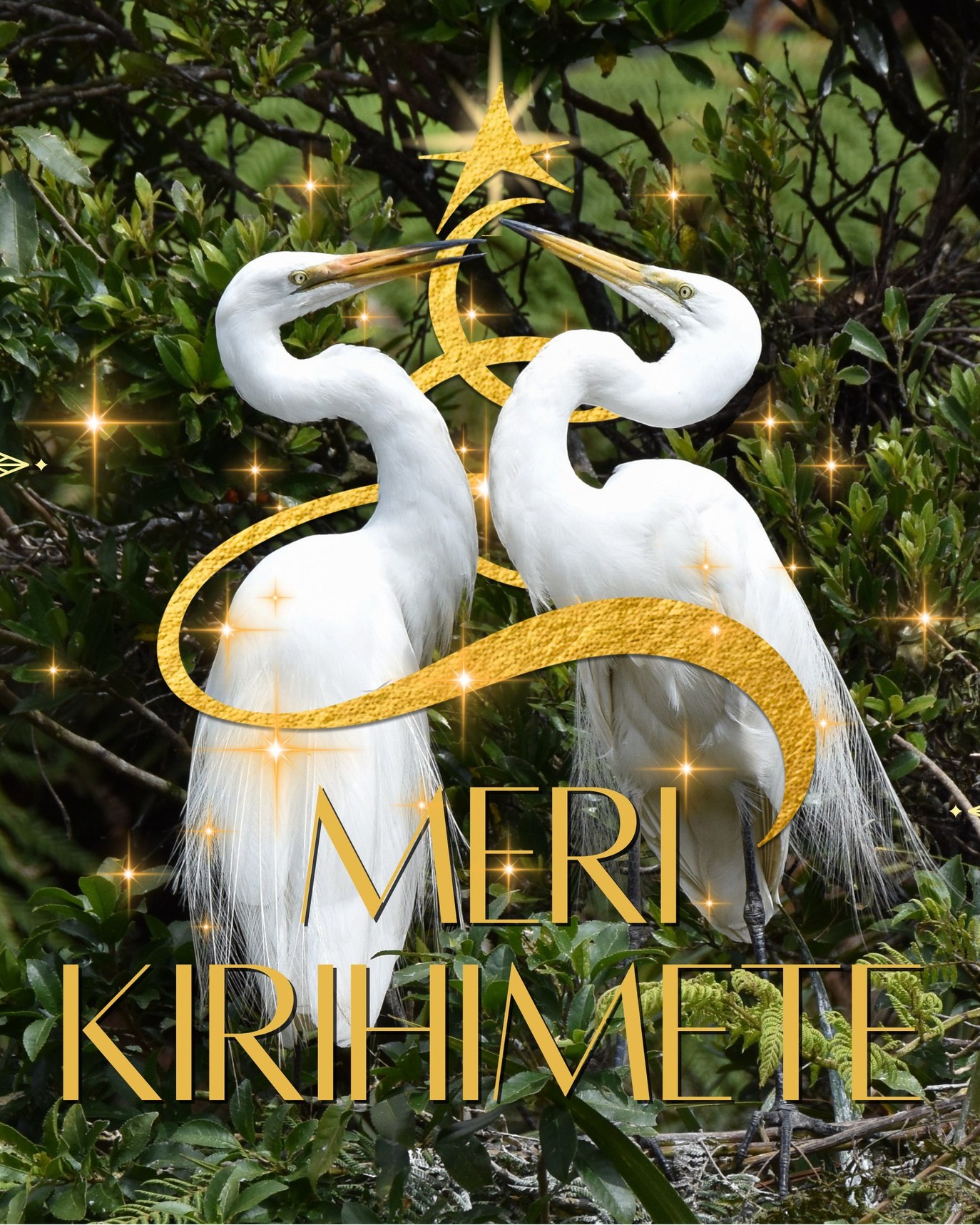 ✨Meri Kirihimete!🎄
Wishing you a relaxing Christmas, wrapped in peace, filled with joy, and touched by the magic of nature 🌿
Best wishes to all from the Arnolds, Whataroa 🥰
#merryxmas2025 #whiteherons #whiteherontours #whiteheroncolony #waitangirotonaturereserve #nzbirds #birdsnz #birdsanctuary #birdsandnaturenz #birdingnz #birdphotography #naturephotography #wildlifenz #naturenz #conservationnz #predatorfree #whataroa #franzjosef #glaciercountrynz #westcoastsouthisland