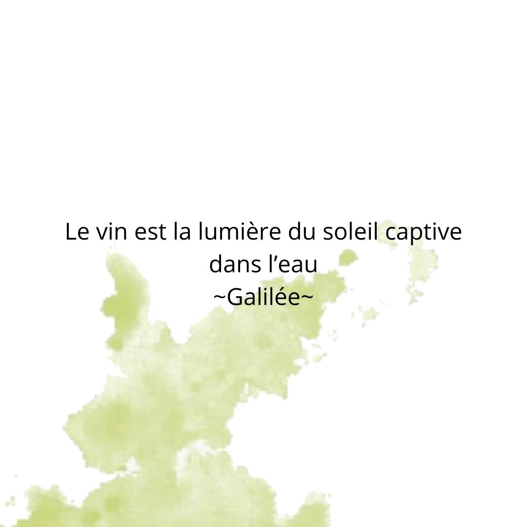 Ce magnifique paradoxe souligne la magie du vin : chaque gorgée est une éclatante concentration de la chaleur du soleil et de la richesse de la terre, transformée en un liquide vibrant et plein de vie ! #citation #alsace #winetime #winemaker
