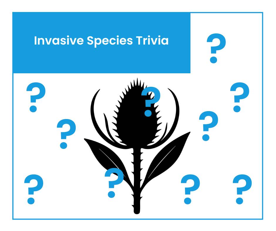 Today is National Trivia Day, so here are some trivia questions about invasive species!
How well did you do?
#trivia #invasivespecies #AIS