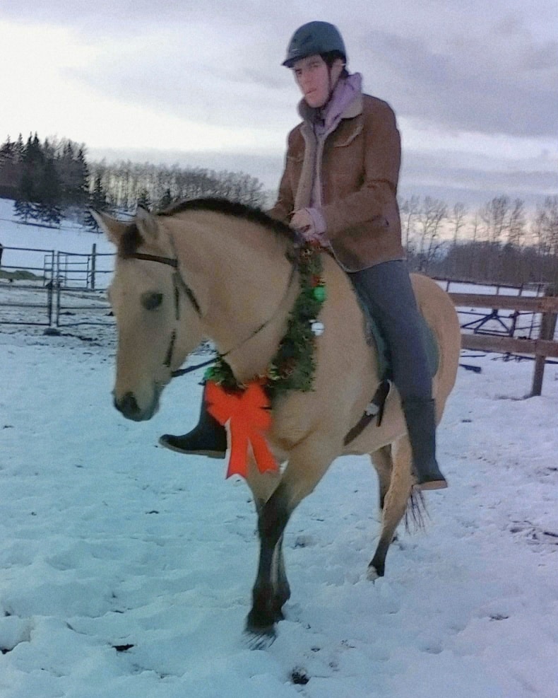 On the eleventh Neigh of Christmas Carmen and Calypso share the spotlight with jousters Olivier and October.
#STALC #jousting #horses #SkillAtArms #12NeighsofChristmas