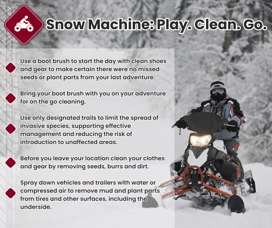 There has been so much snow in our area lately, perfect for going for a fun snow machine adventure!
Remeber, keep your favorite locations invasive free by practicing Play. Clean. Go.
#PlayCleanGo #snowmobile #snow #invasivespecies #foresthealth