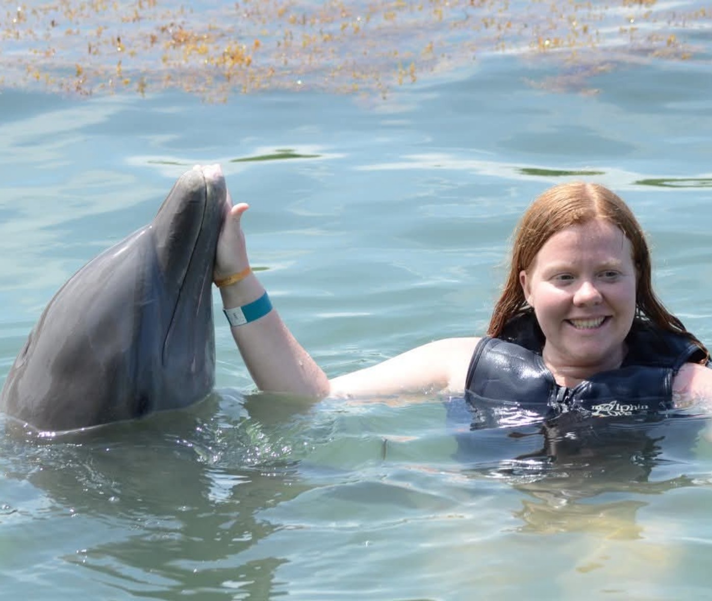 Meet Katie Lickfield, local artist and now Published Author and Illustrator of her new book, The Mermaid and the Dolphin. Find her story by Sofia Heins in the January issue of Greet Unionville Chadds Ford.
You can find her book on Amazon 🐬
www.amazon.com/dp/B0FR1DBVV2?ref=ppx_yo2ov_dt_b_fed_asin_title
#unionvillechaddsford #kennettsquarepa #unionvillepa #chaddsfordpa #chaddsford #chestercountypa #greetmag #greetmagazine #longwoodgardens #communitymagazine #greetunionvillechaddsford #unionvillehighschool #unionvillechaddsfordschooldistrict #uplandcountrydayschool