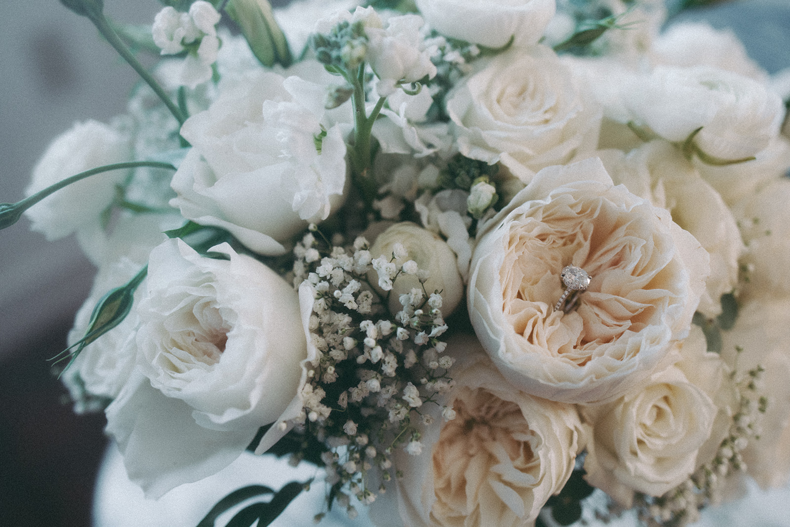 New year, new events! Looking forward to many beautiful blooms in the upcoming year!