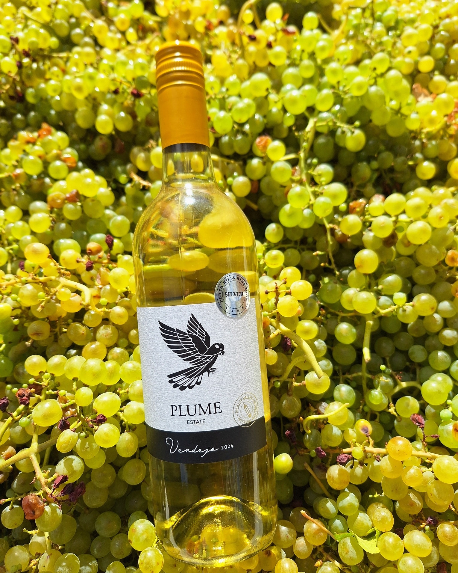 Yes! We are open again from Friday the 9th of January. See you at the cellardoor or book a table today π·π