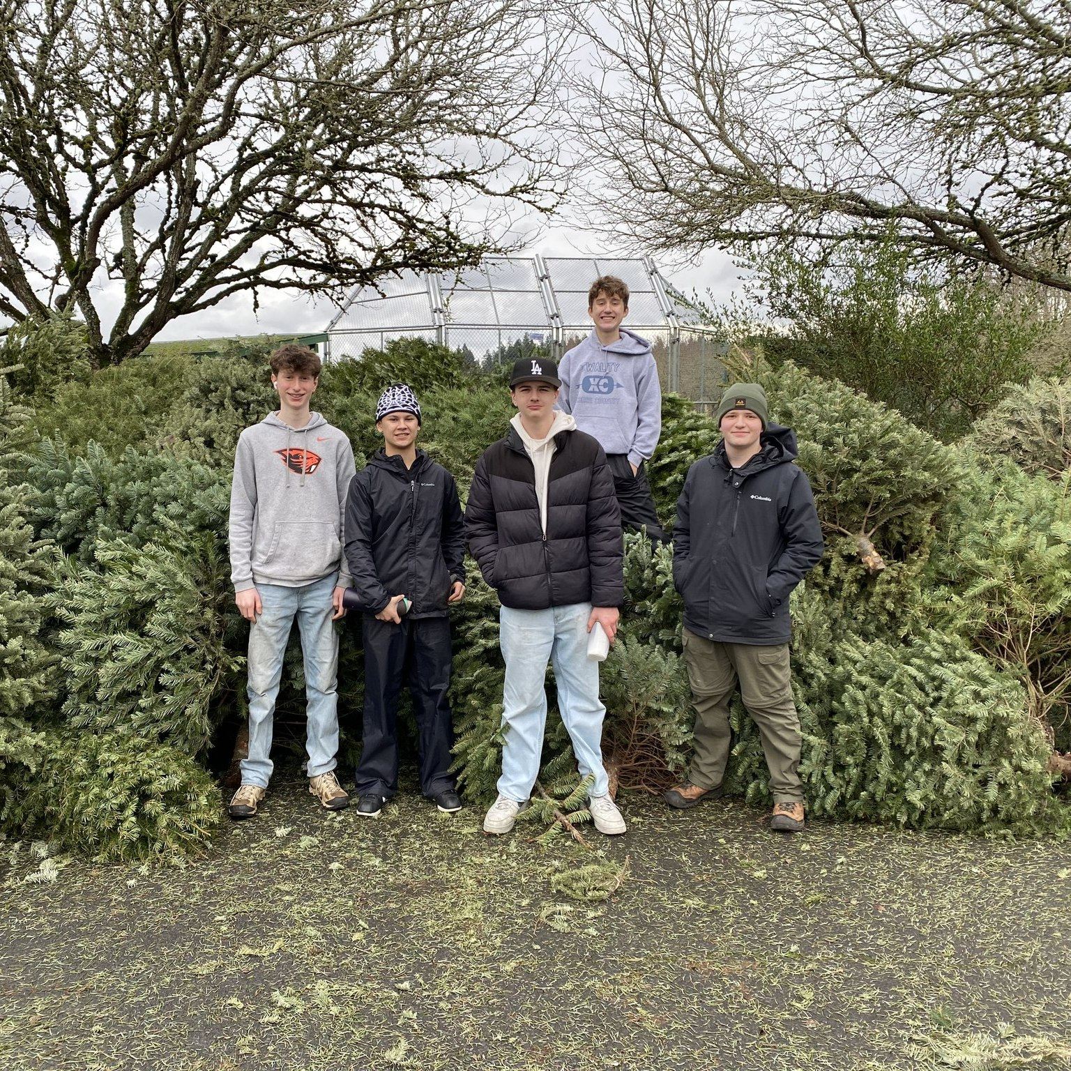 Last Chance! - Christmas Tree Recycling
Troop 423 has been working hard and the pile of trees at Cook Family Park is HUGE! This weekend is the last pick up and drop off opportunity.
Don't miss out! Thank you for your support.
https://bsatroop423and218.org/tree-recycling
Pick-Up Service:
Saturday, January 10th
Sunday, January 11th
Drop-Off Service:
Prefer to drop-off? Bring your tree to Cook Family Park (17005 SW 92nd Ave, Tigard) between 9 a.m. to 4 p.m. on any of the collection days above.
We look forward to serving you this holiday season! Visit our website at https://bsatroop423and218.org/trees-info for further details on our eco-friendly service.
If you have any questions, please email us at:
423and218treerecycling@gmail.com
A BIG THANK YOU to Tigard Primo Espresso, Tigard Sesame Donuts, and Evergreen Tree Services for their local support!
@cityoftigard Tigard Life City of Tigard Government @cpcscouting Rivers Edge District, Cascade Pacific Council @primoespressotigard @sesamedonuttigard