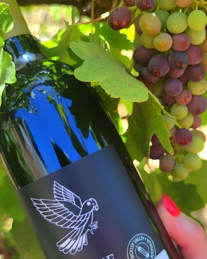 Open Friday, Saturday and Sunday for wine tasting, wine sales and share dishes.
For bookings visit our website
See you soonπ· π