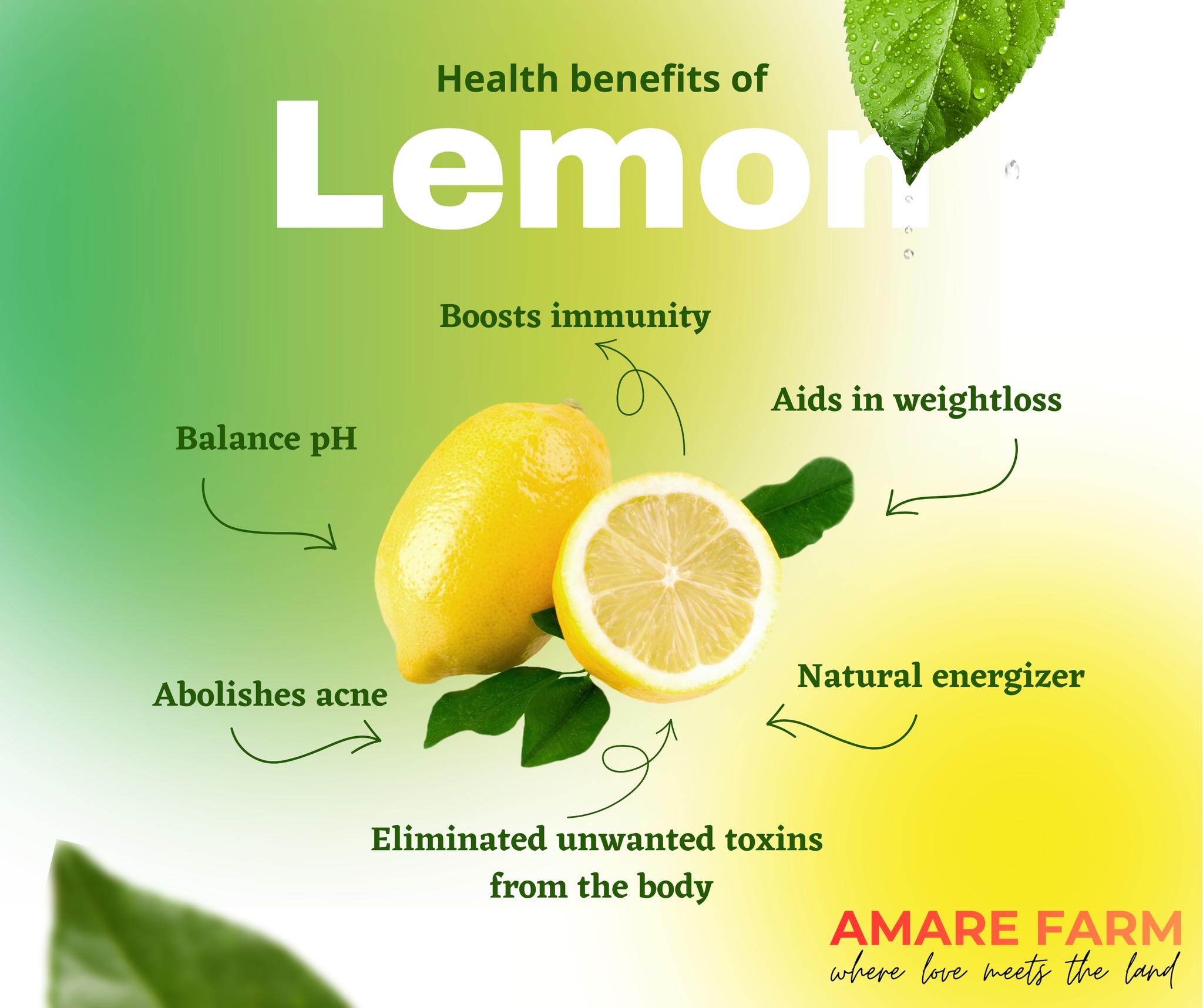 Did you know one lemon can do all this? ππ
β Boost immunity
β Help detox the body
β Support weight management
β Natural energy booster
How do you use lemon daily β juice, tea, or cooking? π¬π
#WhereLoveMeetsTheLand
#AmareFarm #LemonBenefits #FarmFresh #HealthyLiving #NuevaVizcaya