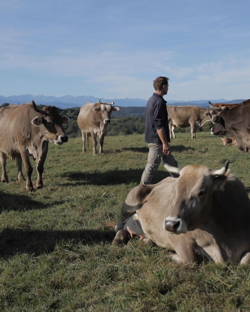 Derrière chaque pot de yaourt Biochamps, il y a des femmes et des hommes 🧑🌾
Frantz, éleveur partenaire, prend soin de ses animaux et de ses terres, pour un lait bio, local et de qualité 🐄🥛
C’est grâce à eux que nos yaourts existent 🫶🤎
#Biochamps #Éleveurs #Portrait #LaitBio #AgricultureLocale #laiterieartisanale #ariegepyrenees #laitlocal #biodepuis1982