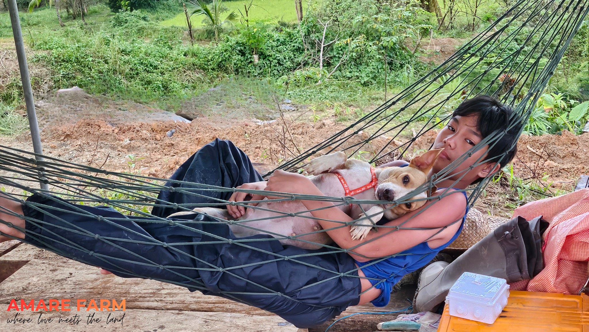 This is how we recharge on the farm π
Fresh air, quiet time, and unconditional love. πΆπΎ
#AmareFarm #FarmLife #SimpleLiving #WhereLoveMeetsTheLand #FarmMoments π§‘
