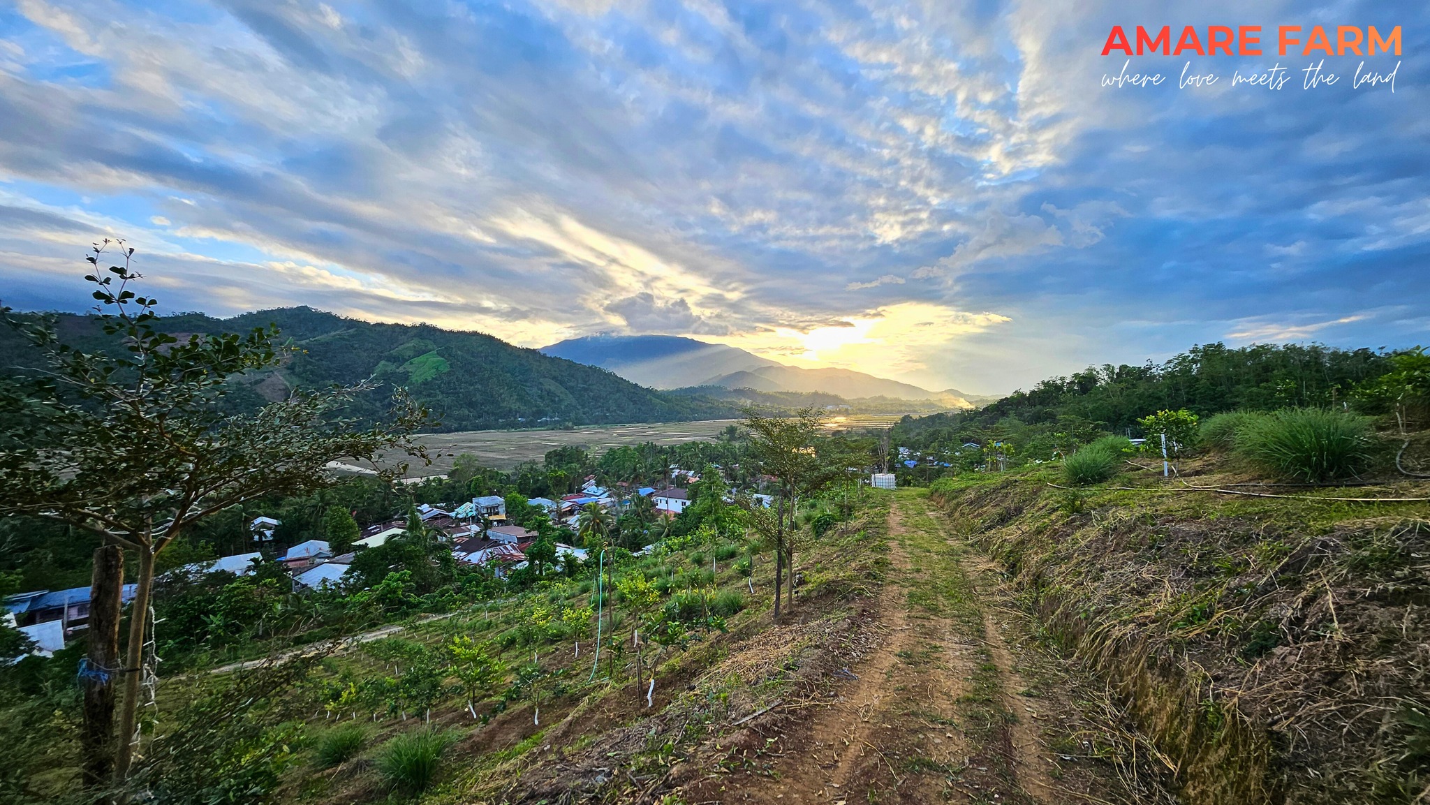 Golden skies, quiet hills, and a heart full of thanks π
π
Sunset at Amare Farm.
#AmareFarm #SunsetOnTheFarm #WhereLoveMeetsTheLand #GoldenHour #FarmLife #wherelovemeetstheland
