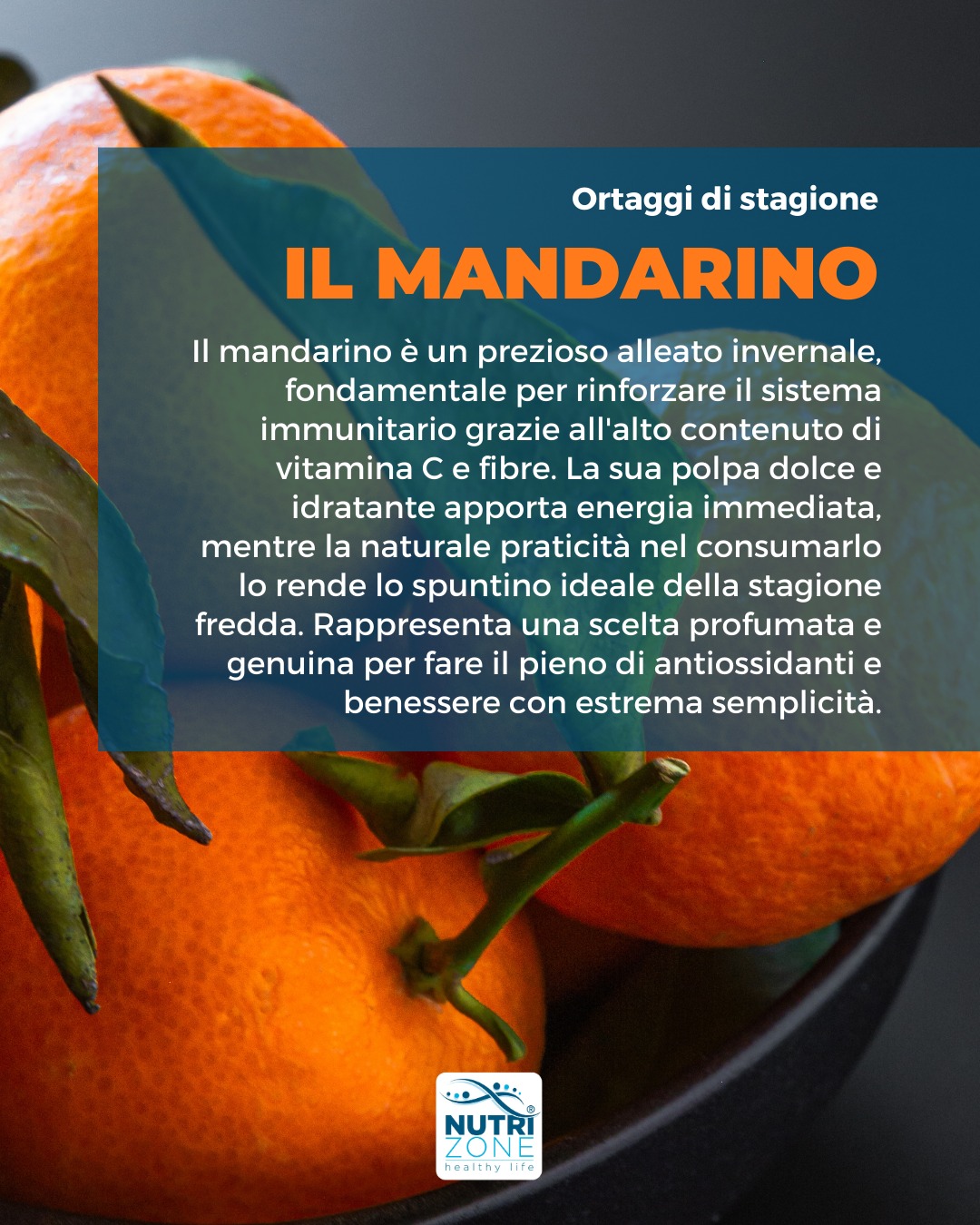 Il mandarino è un prezioso alleato invernale, fondamentale per rinforzare il sistema immunitario grazie all'alto contenuto di vitamina C e fibre.
La sua polpa dolce e idratante apporta energia immediata, mentre la naturale praticità nel consumarlo lo rende lo spuntino ideale della stagione fredda.
Rappresenta una scelta profumata e genuina per fare il pieno di antiossidanti e benessere con estrema semplicità.
#teamNutriZone #nutrizone #nutrizione #nutrizionista #biologonutrizionista #biologobrescia #nutrizionistabrescia #biologonutrizionistabrescia #brescia #lombardia #alimentazione #alimentazionesana #cucinasana #cucinasalutare #mandarino #mandarini #inverno #gennaio2026