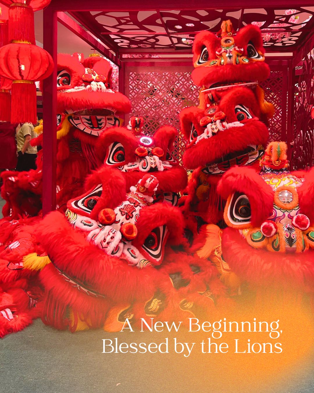 🦁 Lion Dance Performance
Experience the grace and energy of traditional Lion Dance this Chinese New Year. Join us on 17th Feb 2026 at 10 AM for a performance full of rhythm, skill, and festive spirit. 🎉🧧
👉 Visit www.thespring.com.my for more updates on future events
#thespringkch #rootsandrejoice