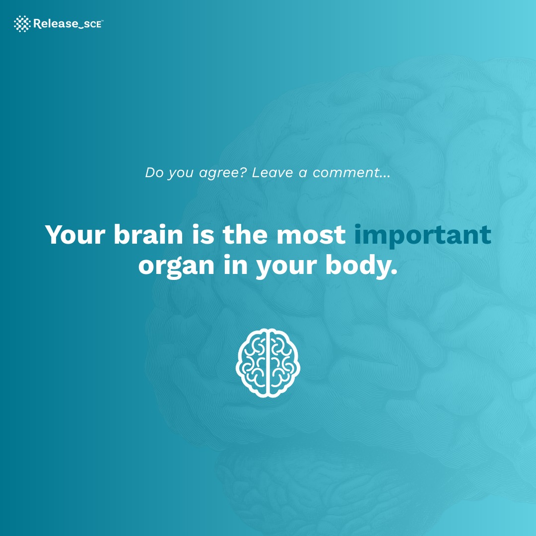 Your brain controls everything you do - how you think, feel, focus and perform. 🧠
So… is it the most important organ in your body?
👇 Do you agree or disagree? Tell us why.