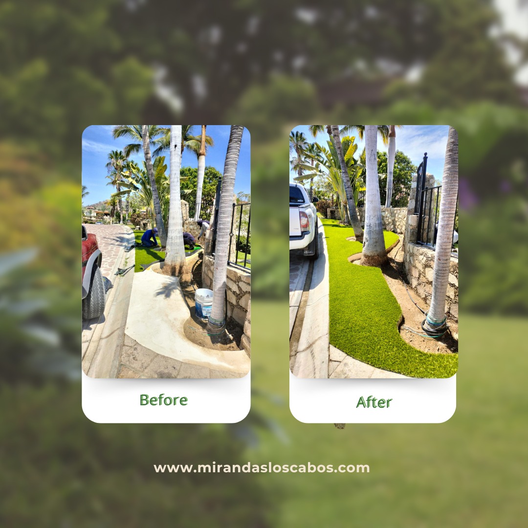 Así fue el proceso de instalación de pasto y trabajos de jardinería que realizamos para uno de nuestros clientes.
De un espacio simple a un jardín más verde, ordenado y lleno de vida.
En Jardinería Mirandas transformamos tus áreas exteriores para que luzcan más bonitas, funcionales y agradables desde el primer día.
Si estás pensando en mejorar tu jardín, nosotros te ayudamos a hacerlo realidad.
📞 Cotizaciones: 624 358 2814