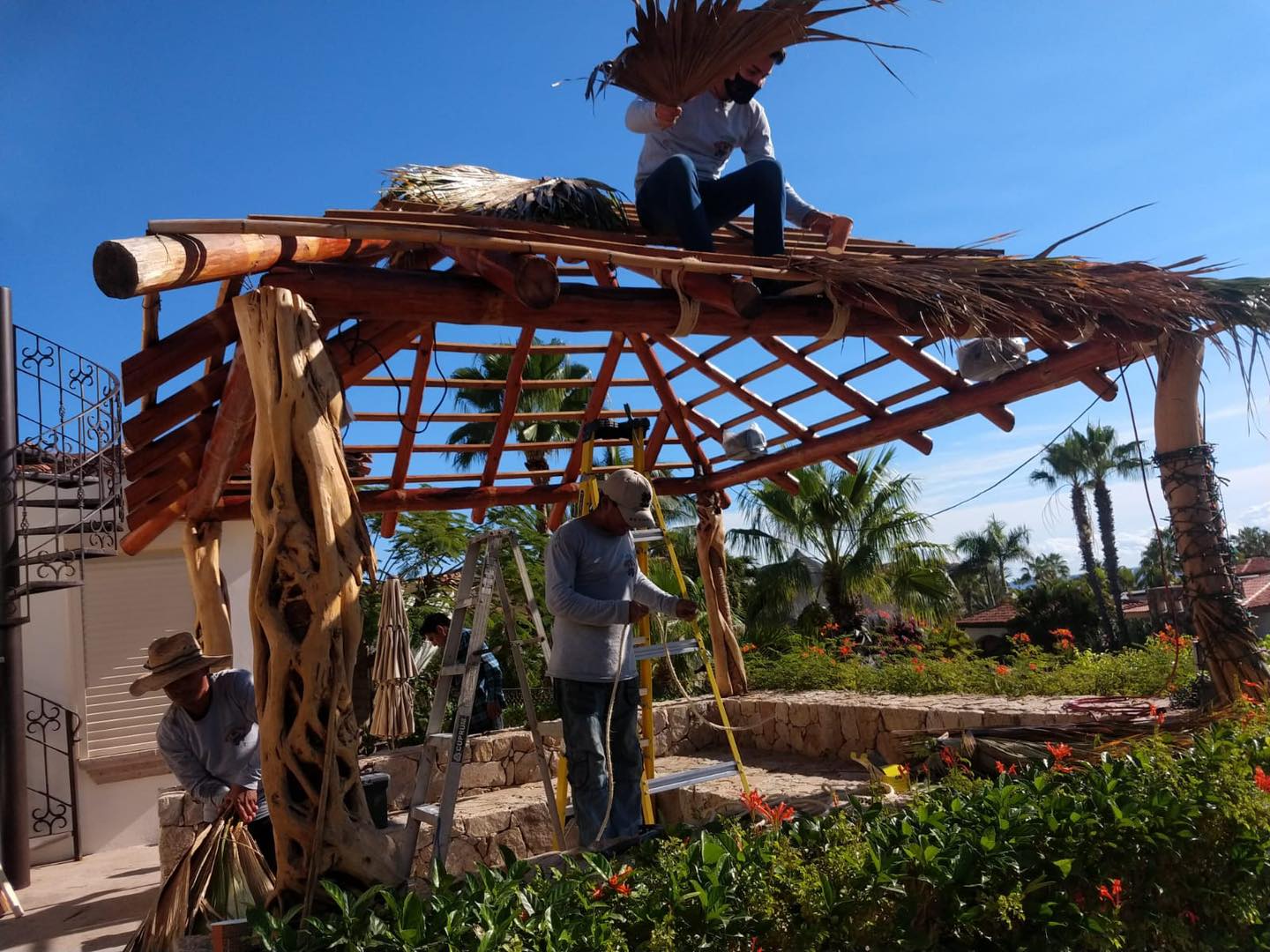 ☀️🌴 Protege y disfruta tus espacios exteriores 🌴☀️
En Jardinería Mirandas diseñamos y construimos pérgolas, palapas y estructuras con malla sombra, ideales para crear áreas frescas, cómodas y funcionales en tu hogar o negocio.
Además, realizamos trabajos de construcción en general, adaptándonos a tus necesidades y al estilo de tu espacio.
Tú imaginas el proyecto, nosotros lo construimos 💪✨
Haz de tu patio, jardín o terraza un lugar perfecto para disfrutar en familia o con amigos.
📞 Cotiza tu proyecto: 624 358 2814