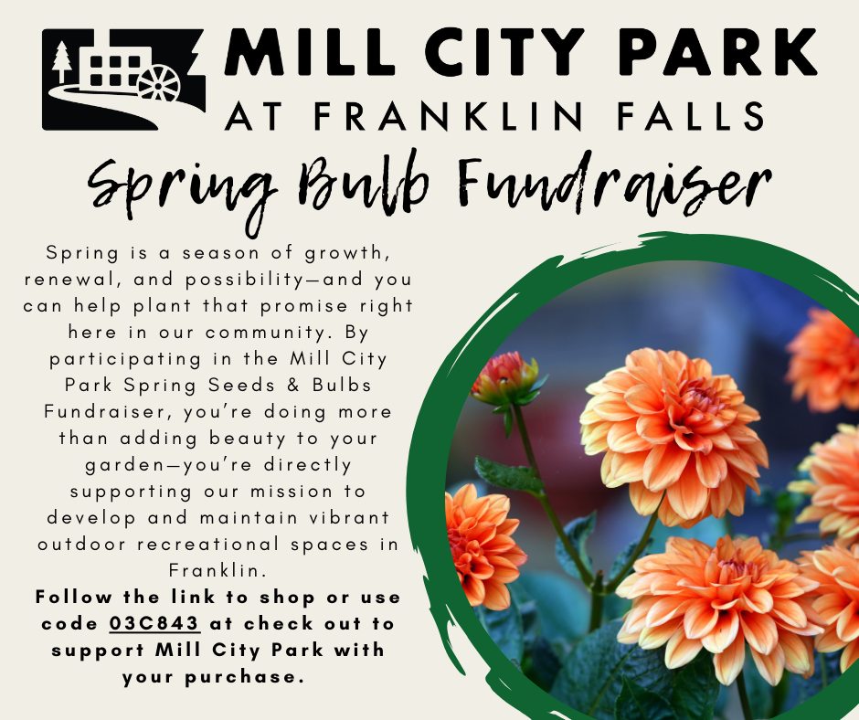 🌷 Spring is on the way—and you can help it bloom! 🌷
Support Mill City Park by participating in our Spring Bulb Fundraiser. Every bulb planted helps grow a more vibrant, welcoming park for our community to enjoy. From colorful blooms to stronger outdoor spaces, your support makes a lasting impact long after the snow melts.
👉 Order bulbs, support the park, and watch your generosity grow.
https://threeriversfundraising.com/fundraiser/mcpff-s26