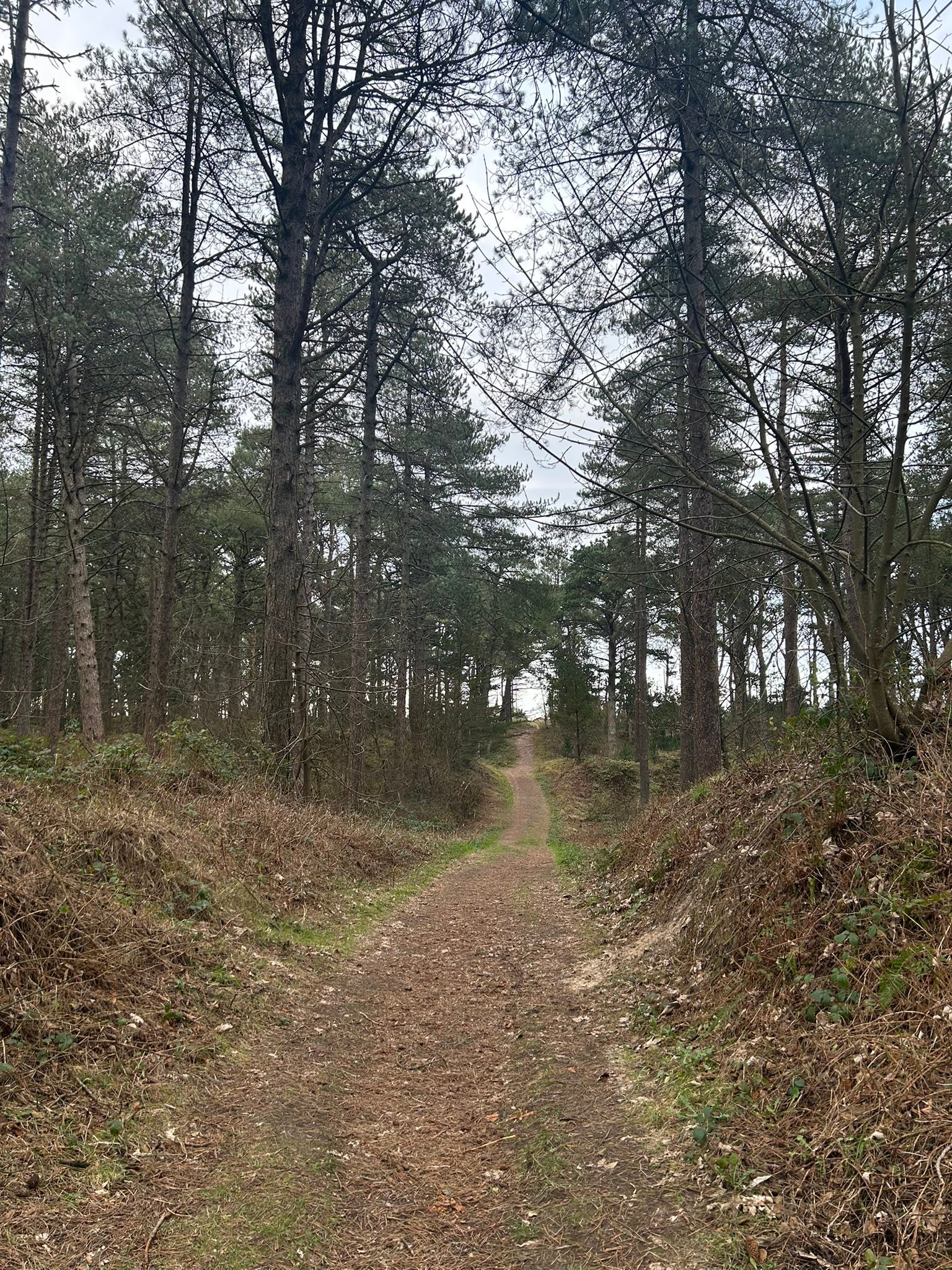 Sli An Chroi –
The Pathway of the Heart