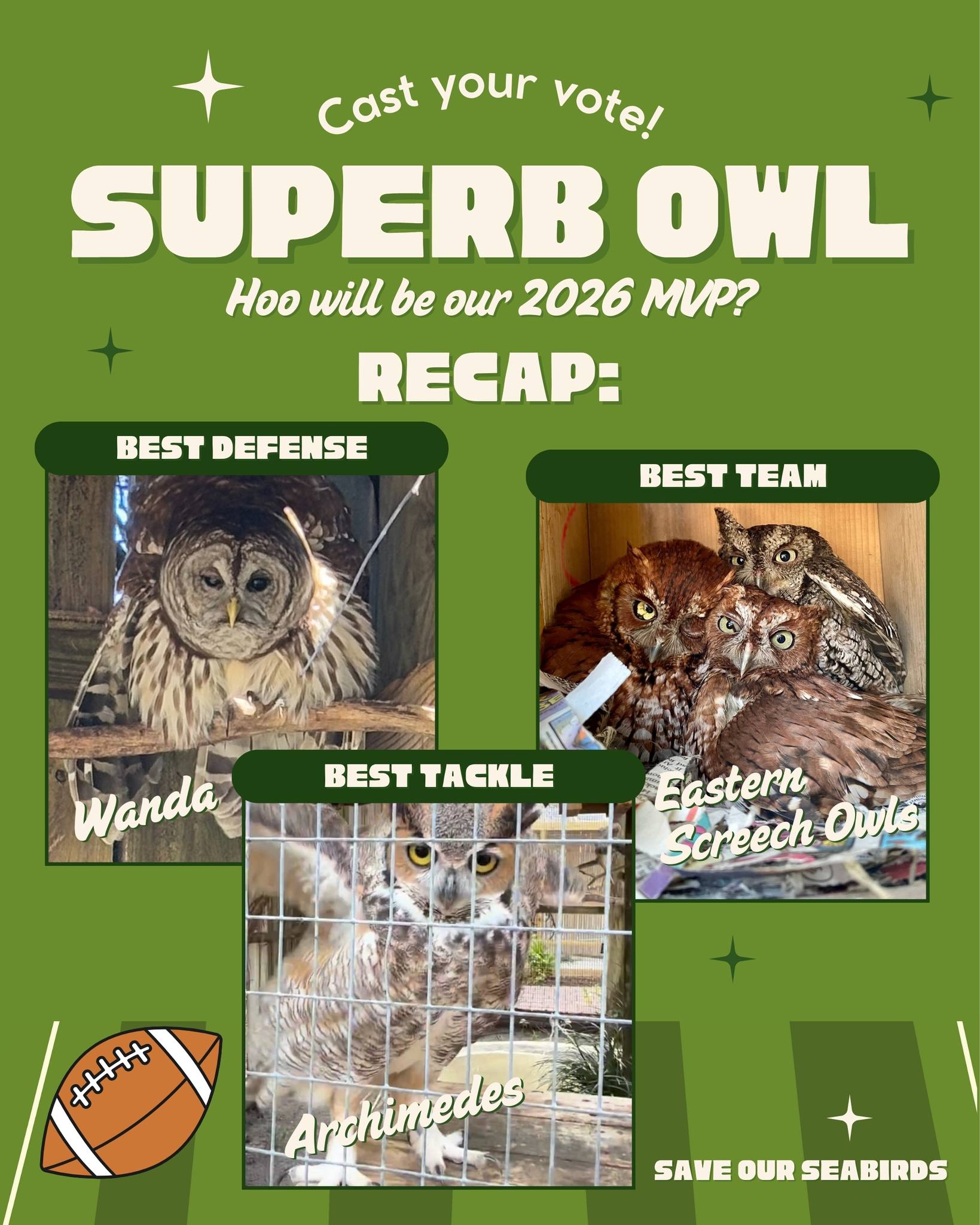 🦉 DAY 4 – FINAL PLAY! 🦉
It’s the last day of Superb Owl, and the stakes couldn’t be higher…Hoo will it be?
It’s time to decide the MVP 🏆
Which owl soared above the rest? Keep those comments coming across all categories from previous posts, or drop your vote in the comments here - the owl with the most total love takes home the title of Most Valuable Predator! 💥
MVP will be revealed tonight! Make your votes count before the clock runs out!
Quick Recap:
Day 1: Best Defense = Wanda
Day 2: Best Tackle = Archimedes
Day 3: Best Team = Eastern Screech Owls
📍 Want to meet our superb owls in person? We’re open daily from 10am–5pm, and admission is always free!
#superbowl #animallover #wildliferescue #sarasota #mvp